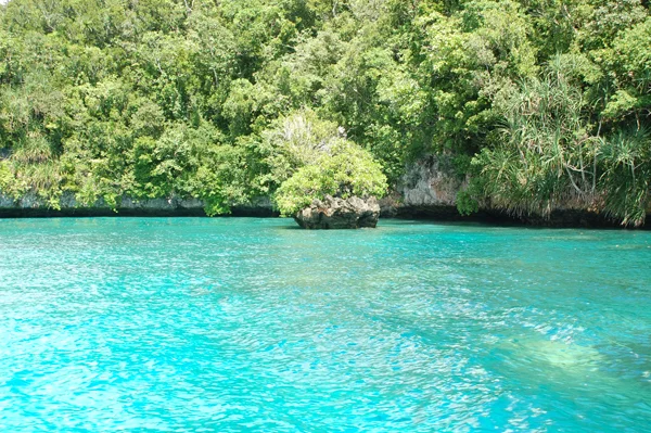 Dive Site for Learning, Palau 2008.jpg