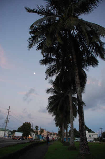 Koror By Moonlight
