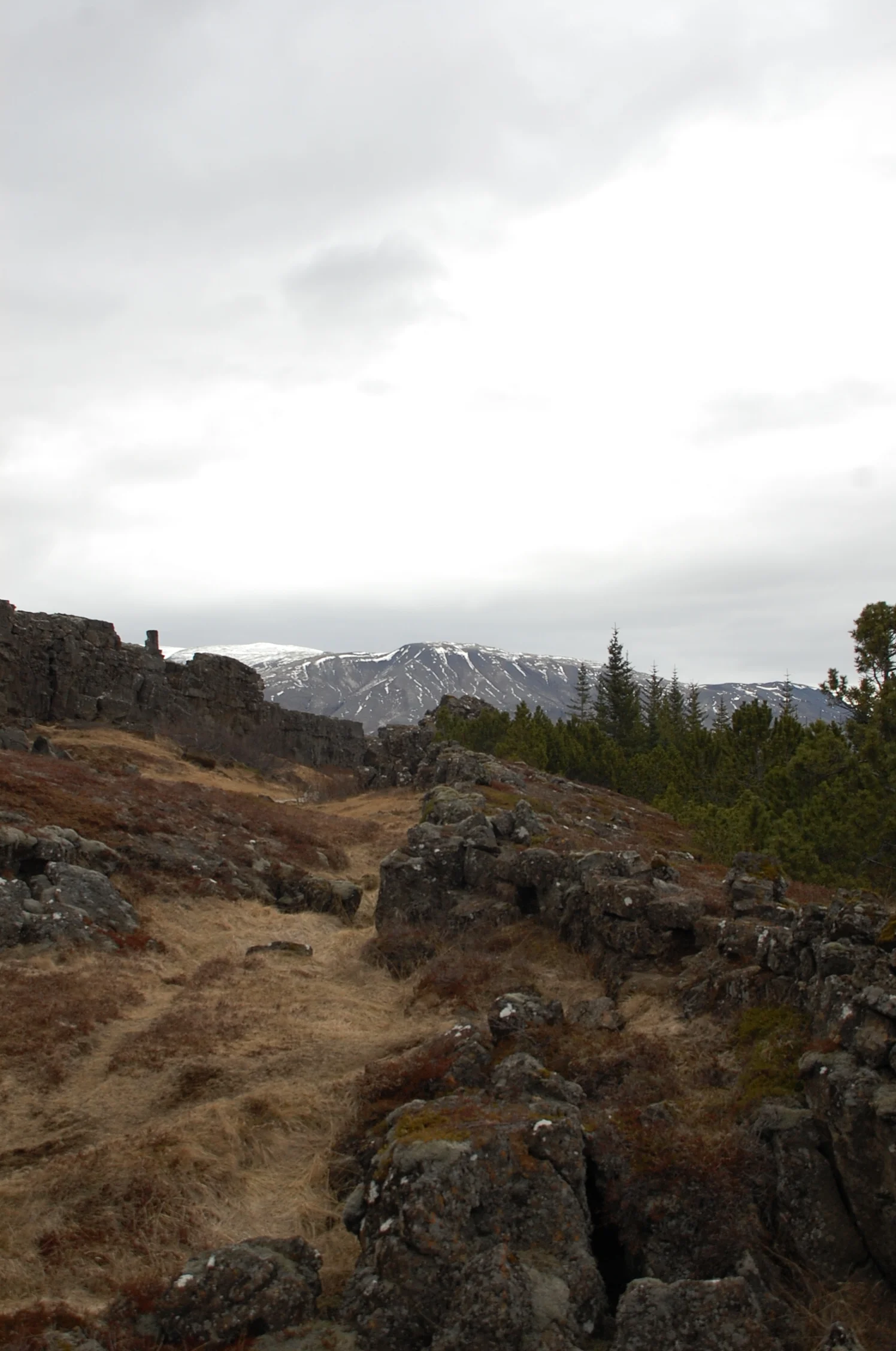 Beautiful Country, Iceland, 2010.jpg