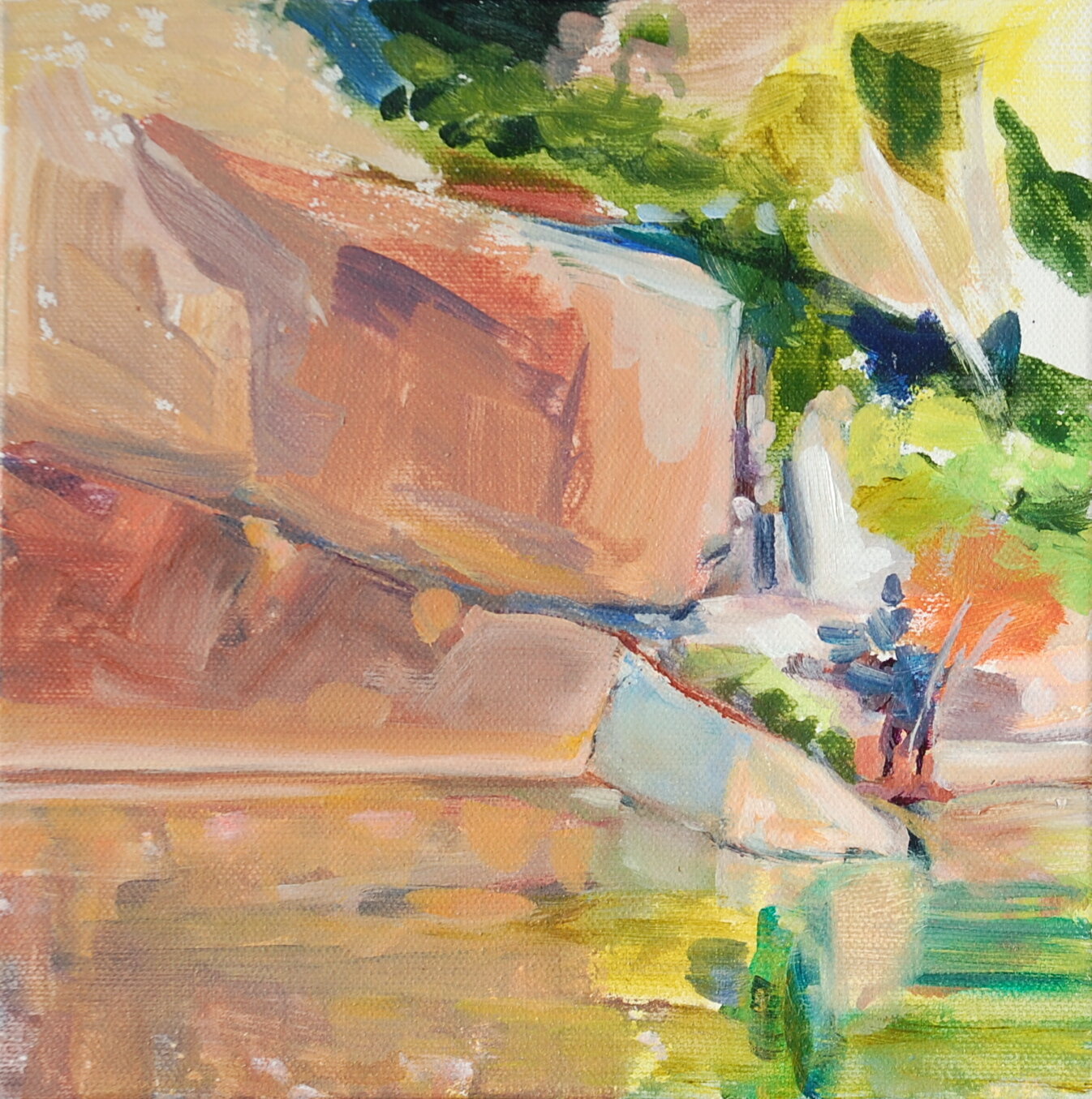 MARS Summer Headwall 2019.JPG