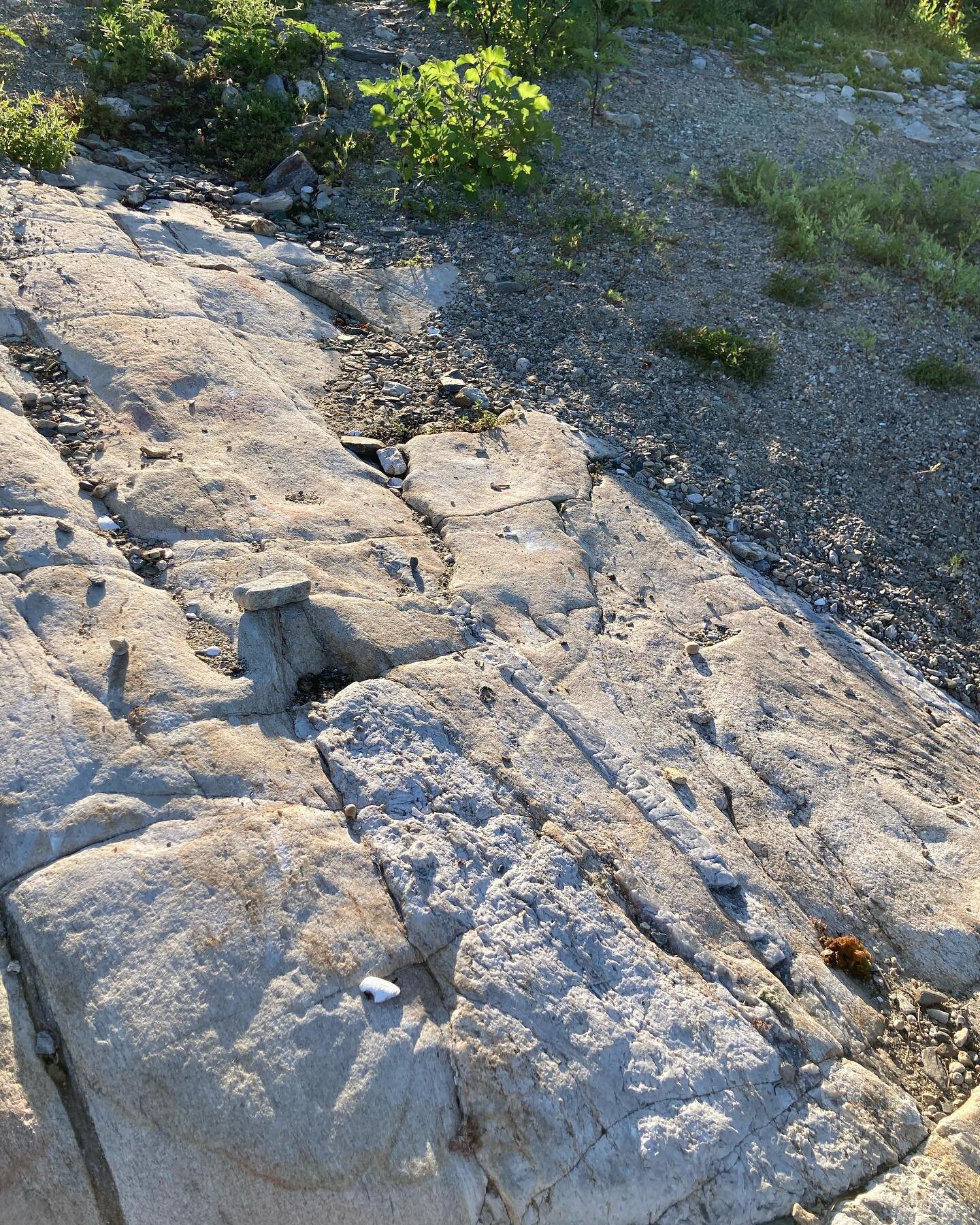 Found Color | white-washed granite of Appledore Island