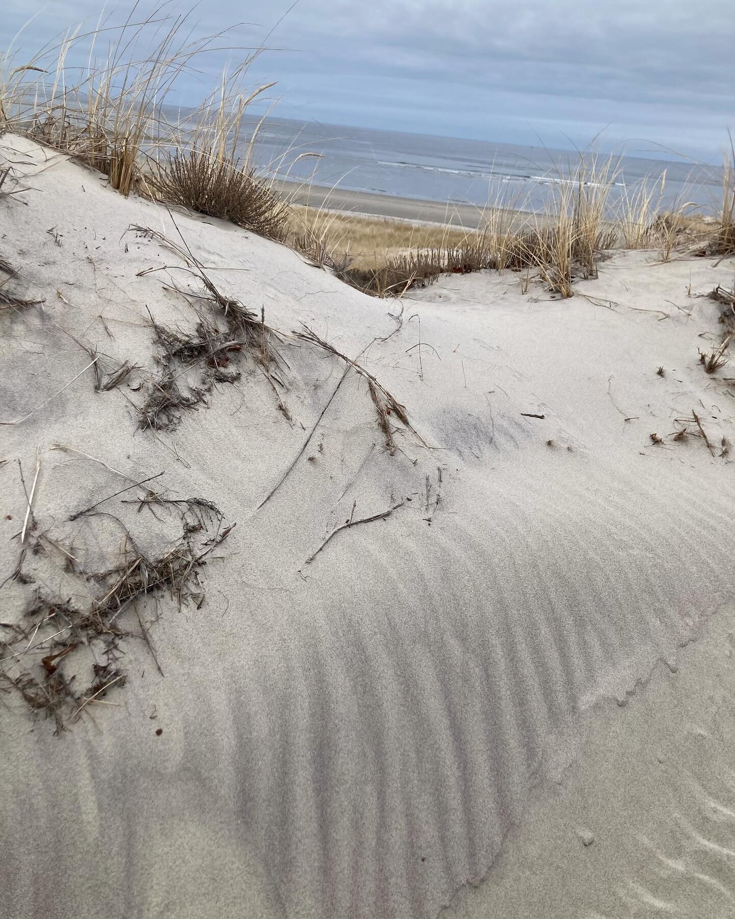 Found Color | subtle aubergine sand stripes in the dunes at Crane&rsquo;s Beach