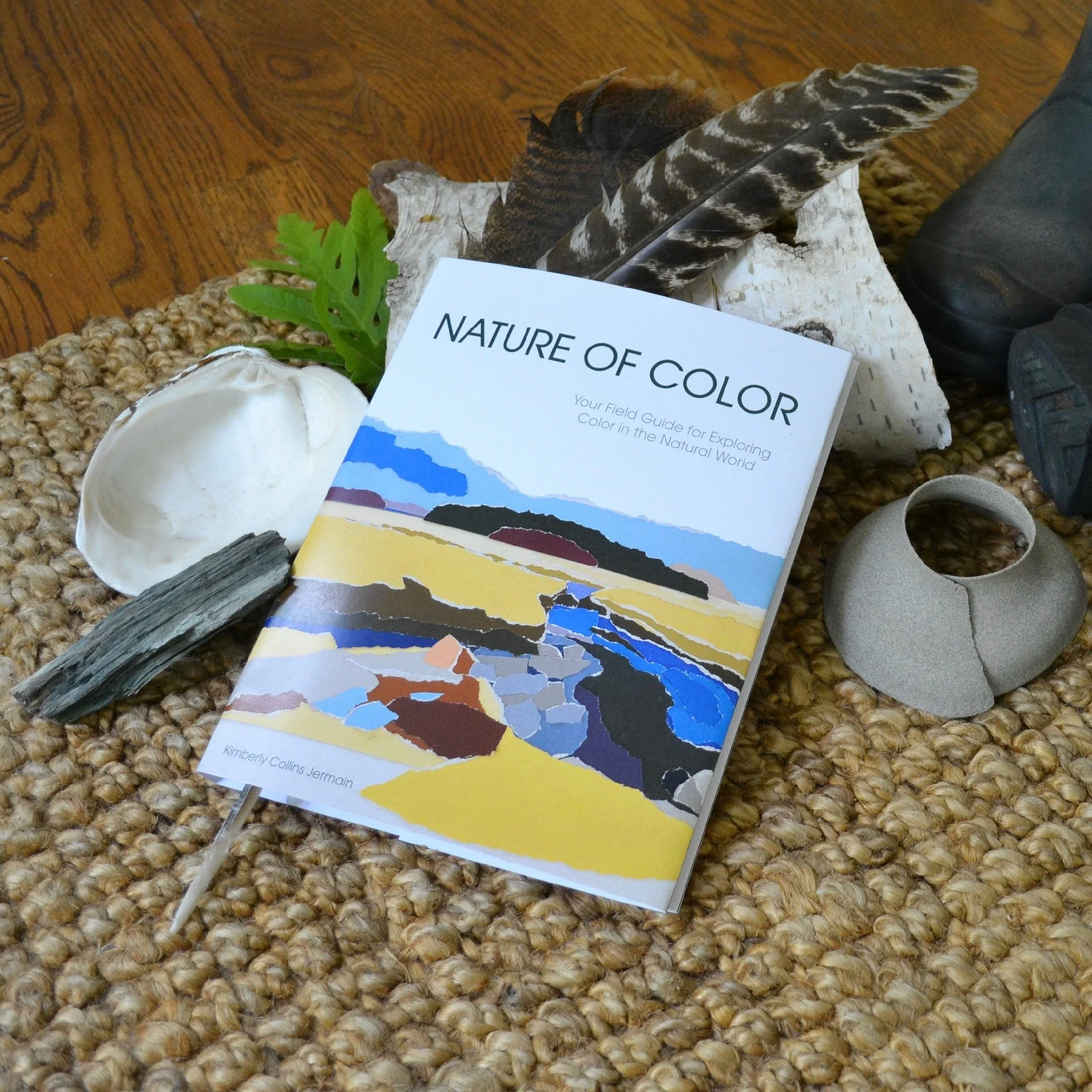 Excited to share Nature of Color: Your Field Guide to Exploring Color in the Natural World. Link to more info/pre order at https://www.kimberlycollinsjermain.com.
Fall Workshops designed for different age groups - coming soon! #kimberlycollinsjermain