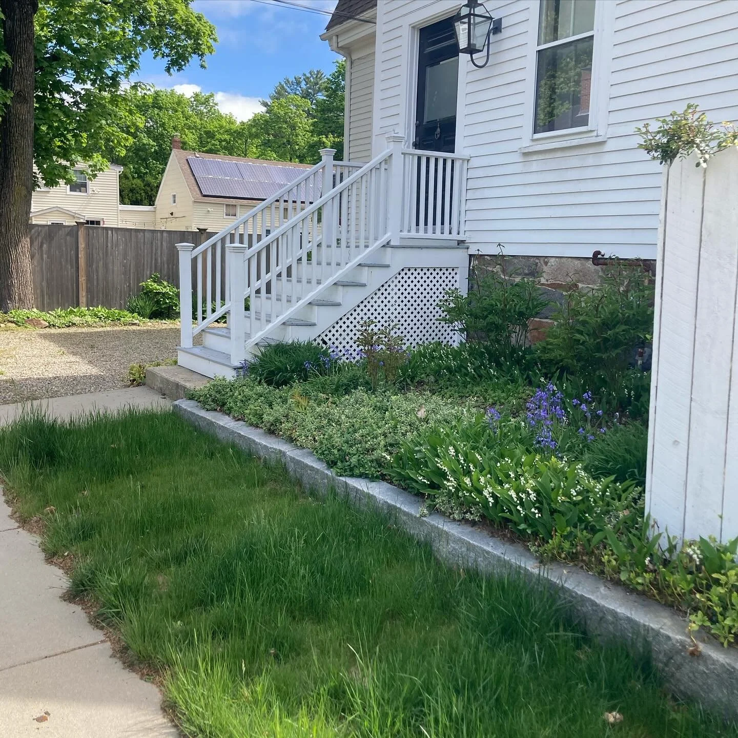 Found Color | green grass of No Mow May, more sleep for our neighborhood insects!