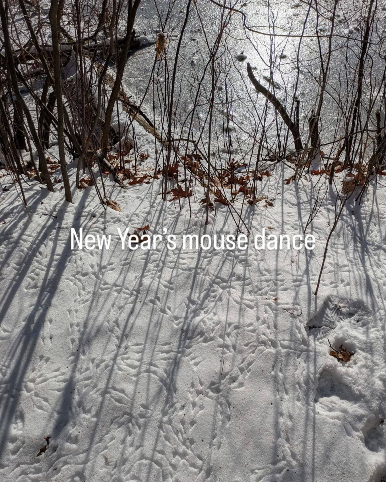 Found Color | shadows in soft shades of blue and gray