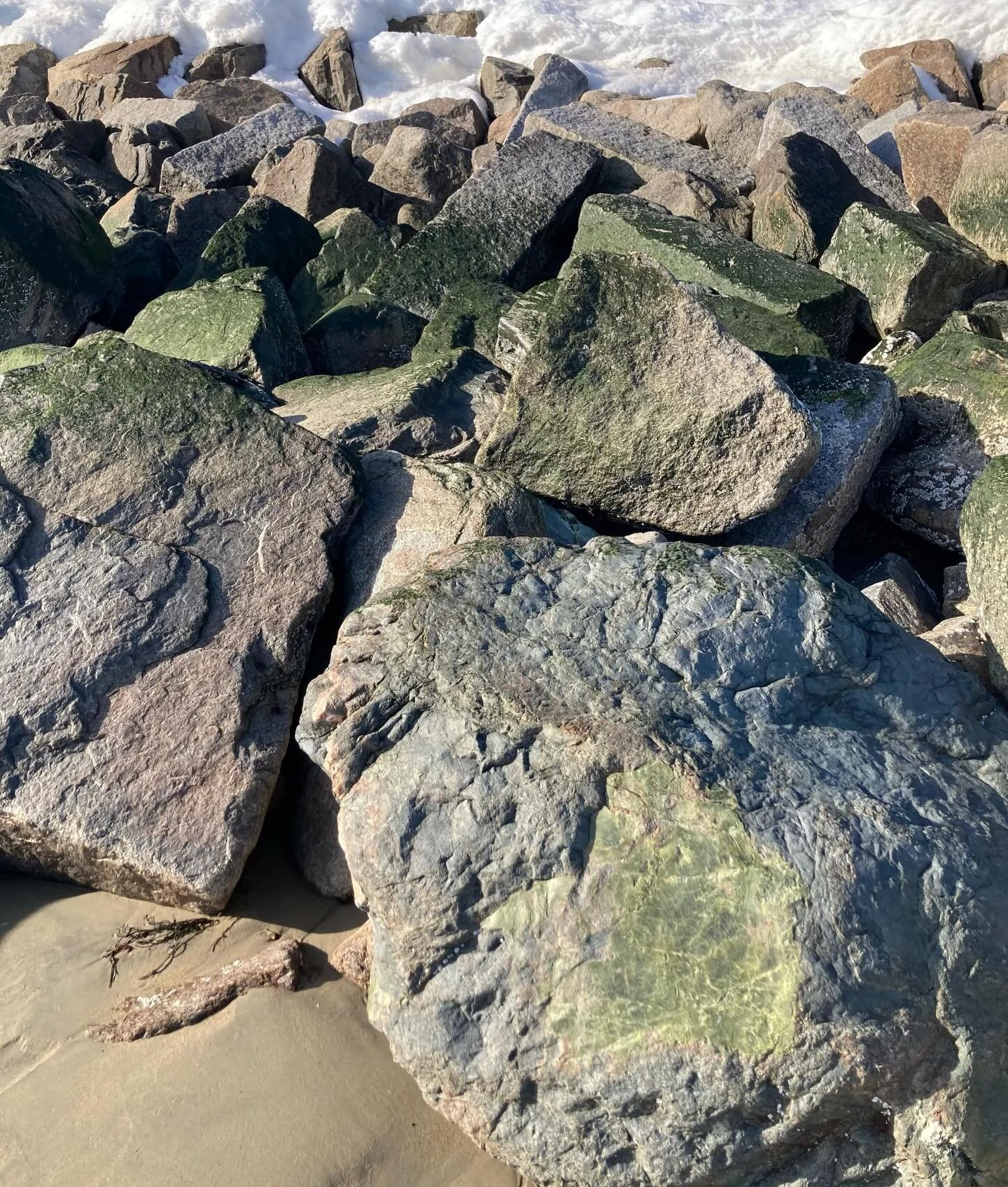 Found Color | winter green, West Beach, Beverly