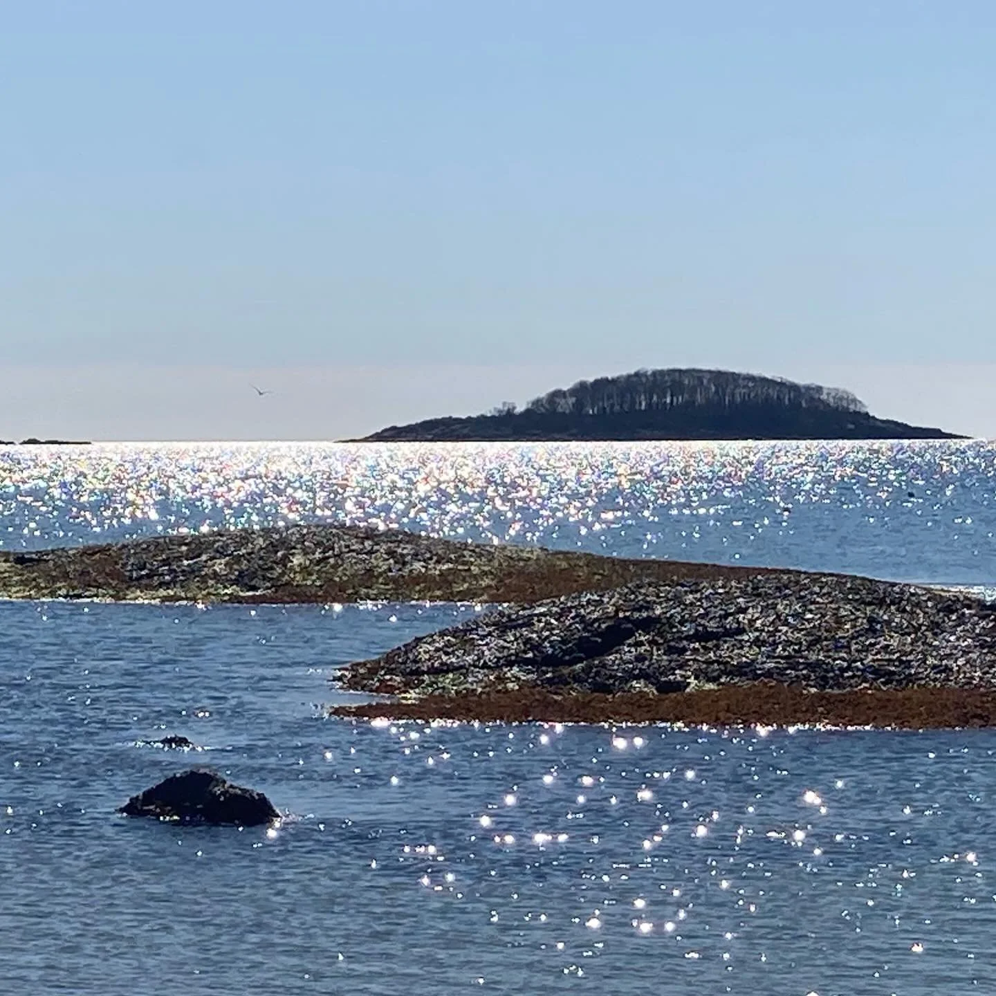 Found Color | sparkling morning light, West Beach