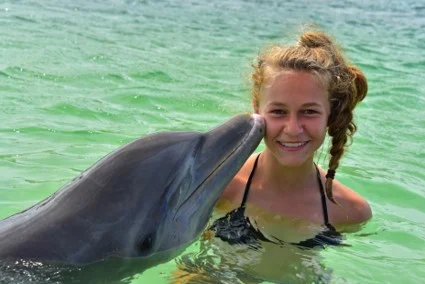 Dolphin Kiss.jpg