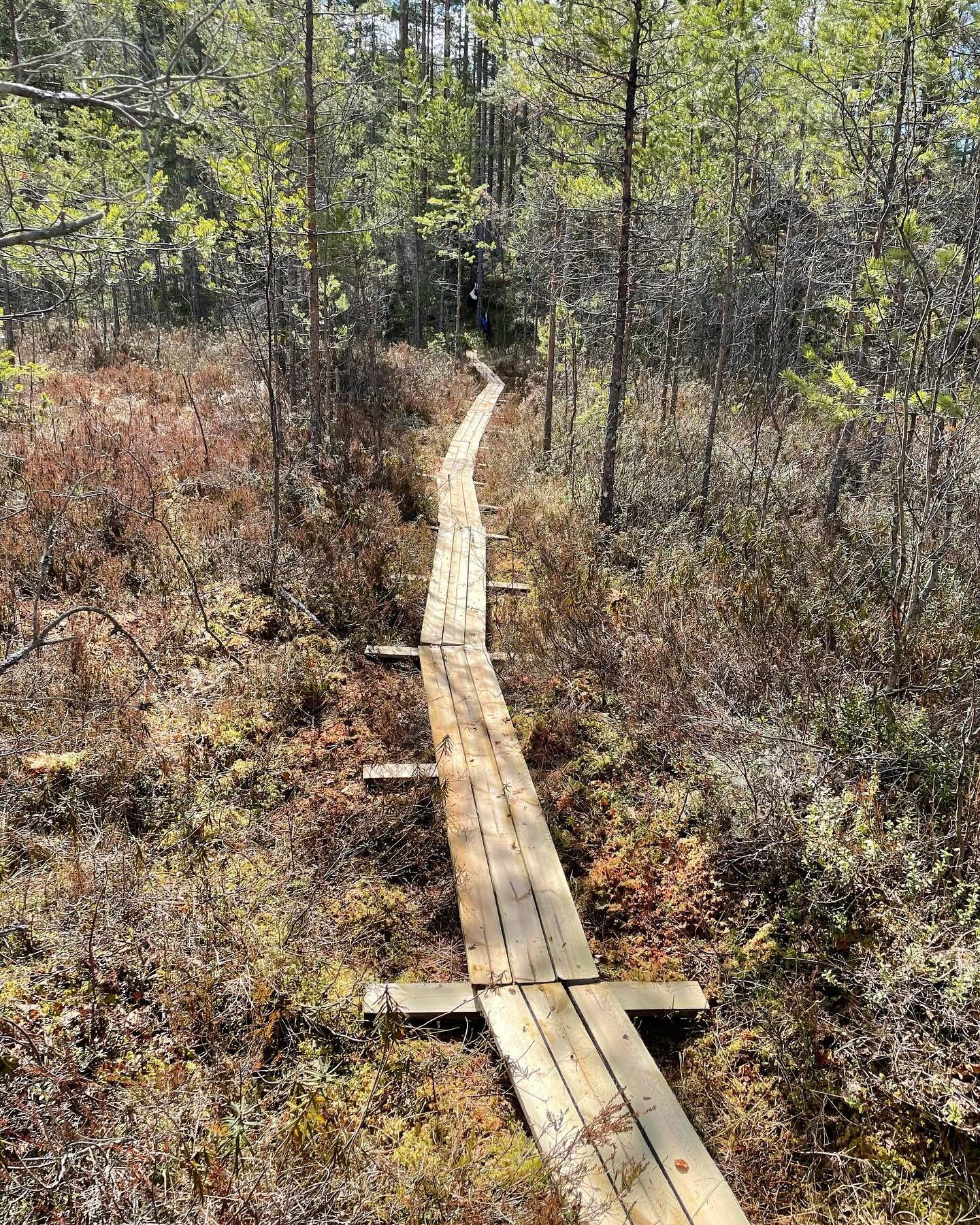 Nu g&aring;r vi mot sommar och v&aring;rt n&auml;sta lopp; Engelbrektsloppet Trail😊 Det &auml;r full fart i skogarna kring Karlberg och &Ouml;tj&auml;rn och idag har delar av alla nya sp&aring;ngar kommit p&aring; plats👍 #engelbrektsloppettrail #en