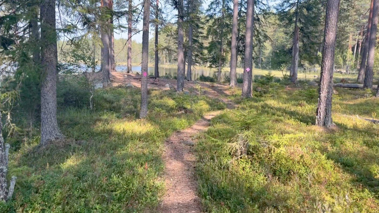 Vi pushar igen f&ouml;r att alla v&aring;ra trailbanor nu &auml;r uppm&auml;rkta med v&aring;ra stolpskyltar och snitslar f&ouml;r Engelbrektsloppet Trail s&aring; v&auml;lkommen ut i naturen!🙌 Du kan f&ouml;lja skyltningen fr&aring;n &ouml;vre dele