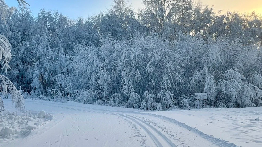 Wow 🤩nu &auml;r det bara 54 dagar kvar till vi &auml;ntligen &ouml;ppnar konstsn&ouml;sp&aring;ret igen! Eftersom den 1 december i &aring;r infaller p&aring; en m&aring;ndag s&aring; siktar vi s&aring; klart p&aring; att kunna &ouml;ppna sp&aring;re