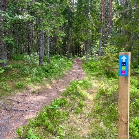 Nu kan du provspringa v&aring;ra Trailbanor!🏃&zwj;♀️🏃 Ett 50-tal vindf&auml;llen sedan vinterns storm har s&aring;gats upp och en del komplettering av pilar har fixats.  Tyv&auml;rr &auml;r det n&aring;gon, som &auml;ven detta &aring;r, saboterar o