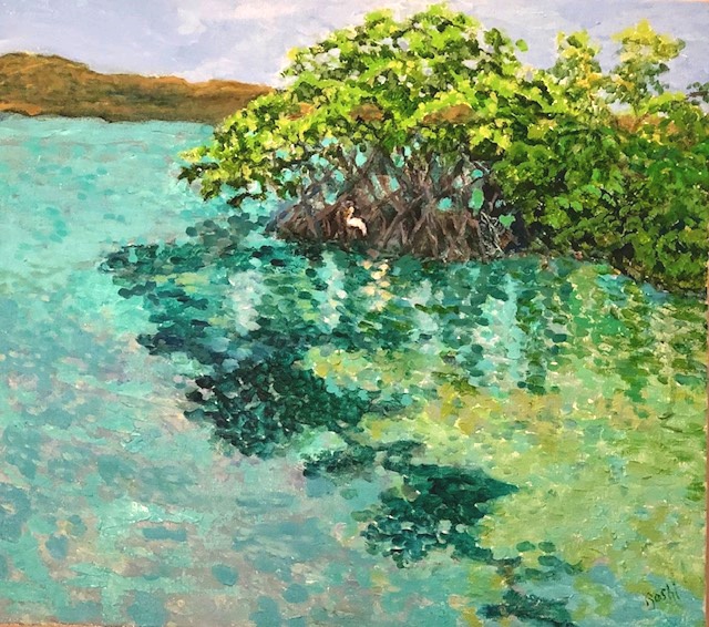  Mangroves Puerto Rico 