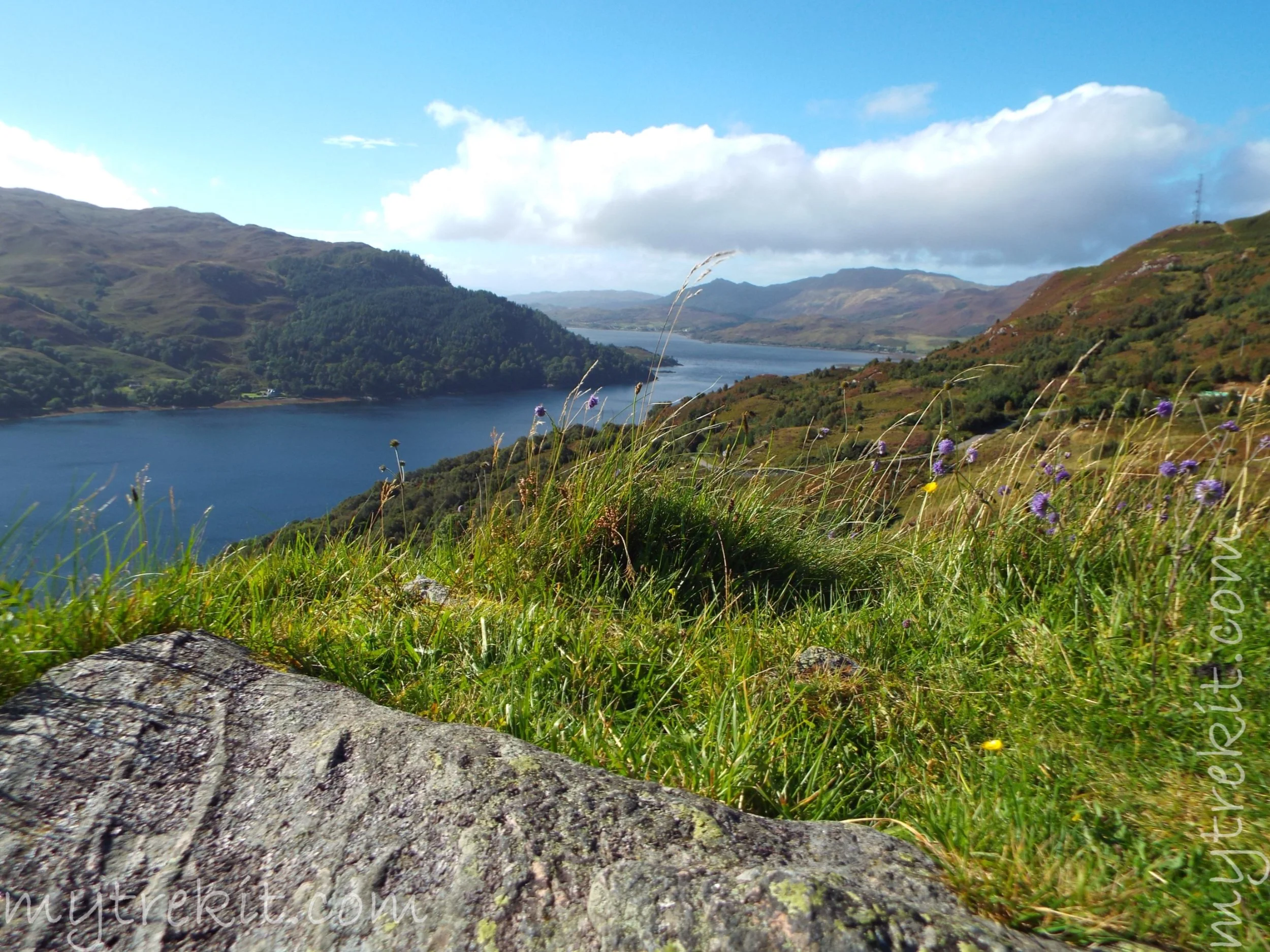DSCF5613.JPG