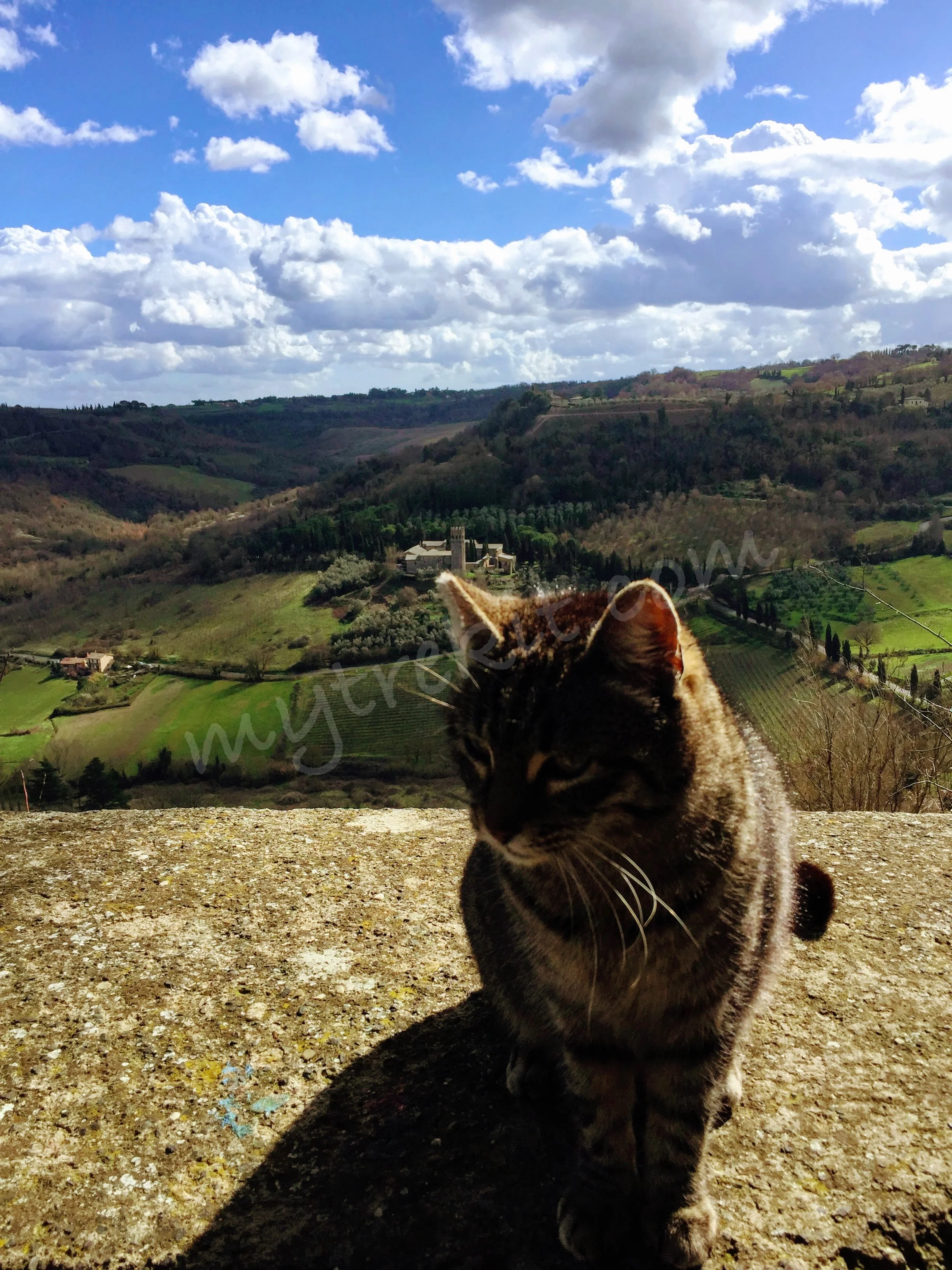 I wasn’t the only one hungry….this kitty was more interested in my salami than the exquisite view behind her.
