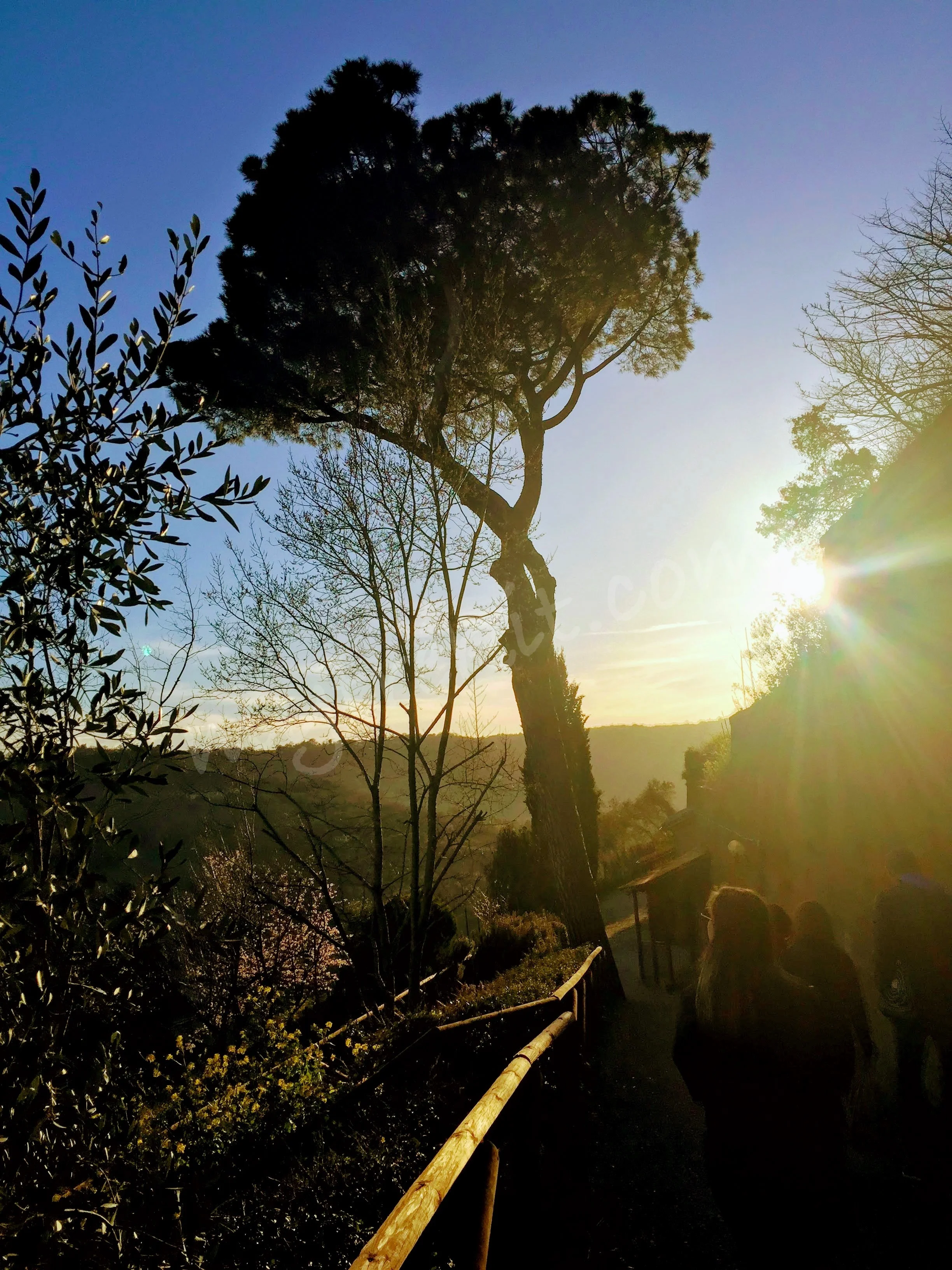 On our way to the tunnels, the sun was starting its ‘golden hour’…