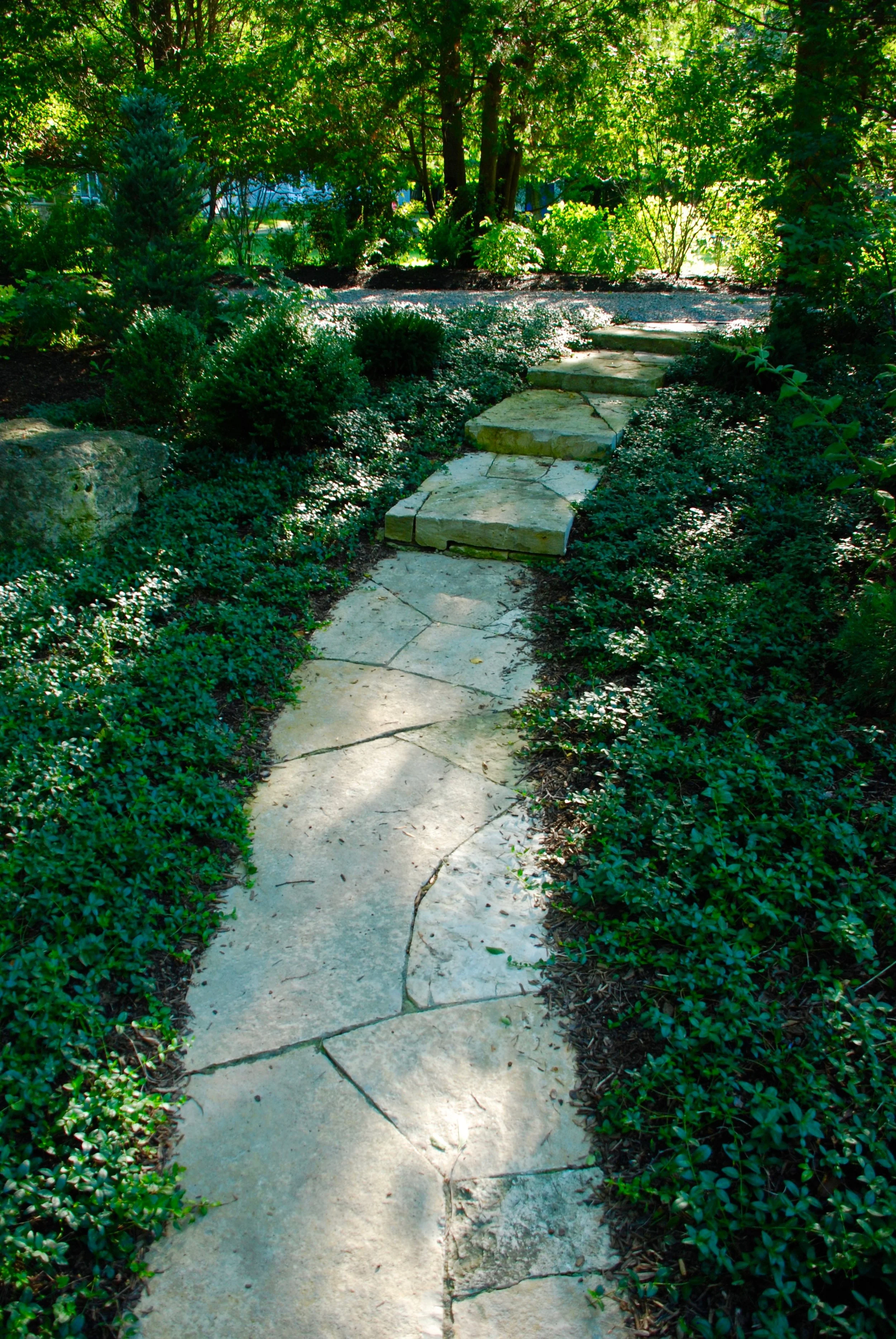 DSC_0899.jpg