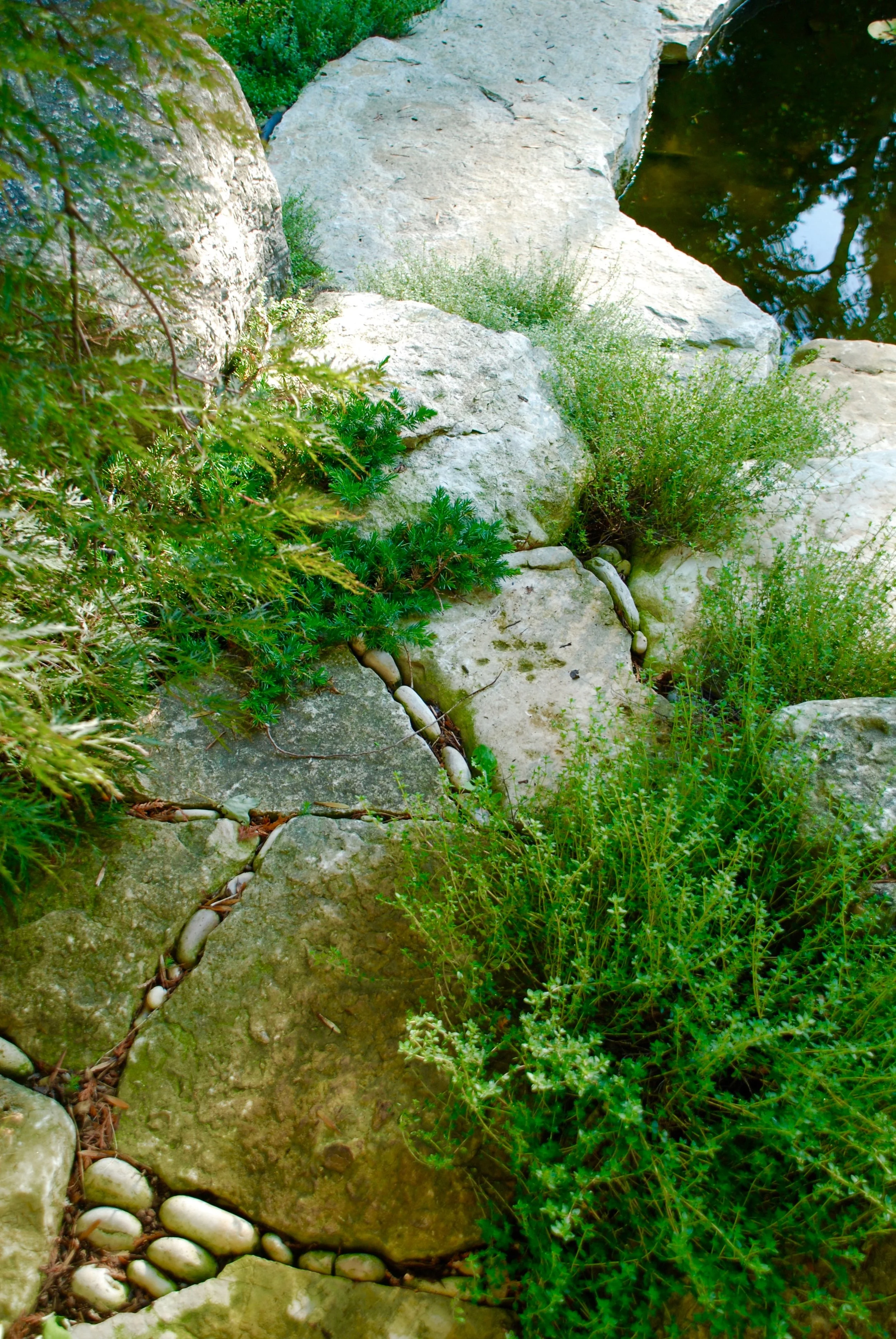 DSC_0892.jpg