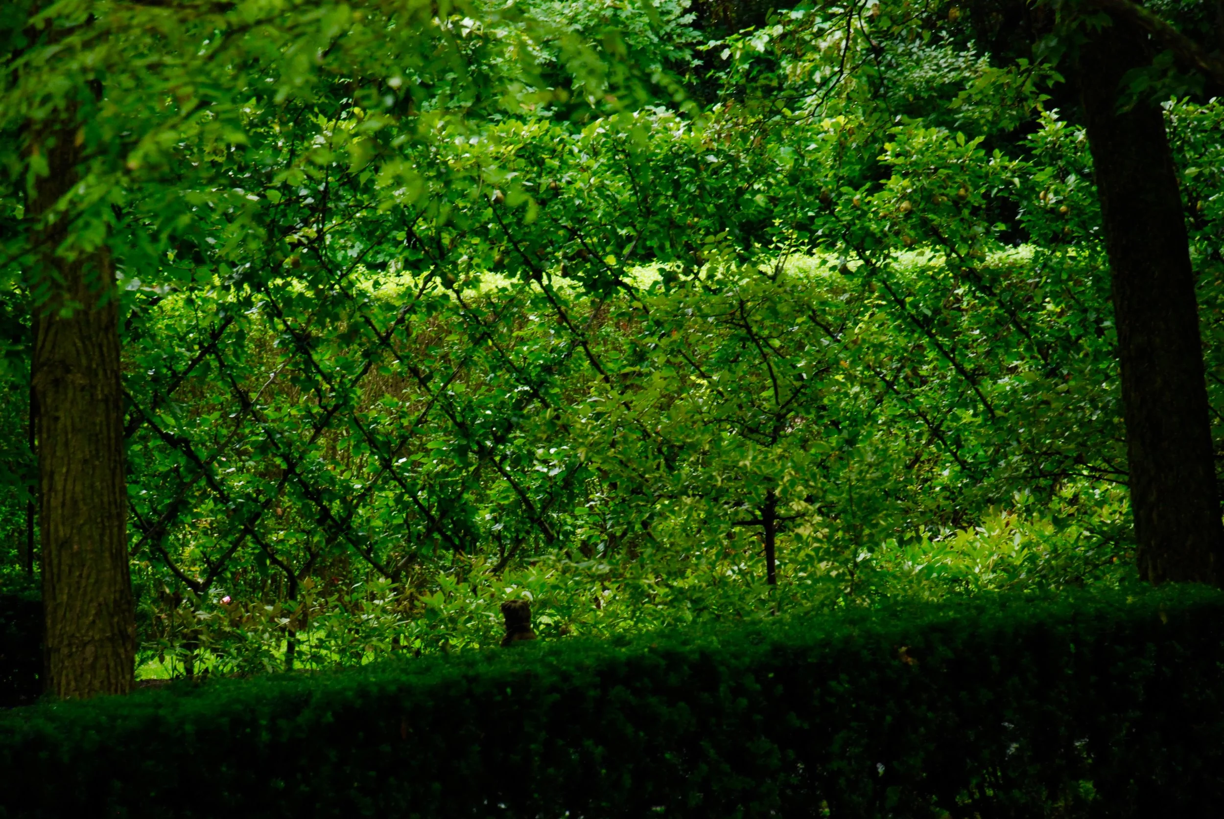 DSC_0842.jpg