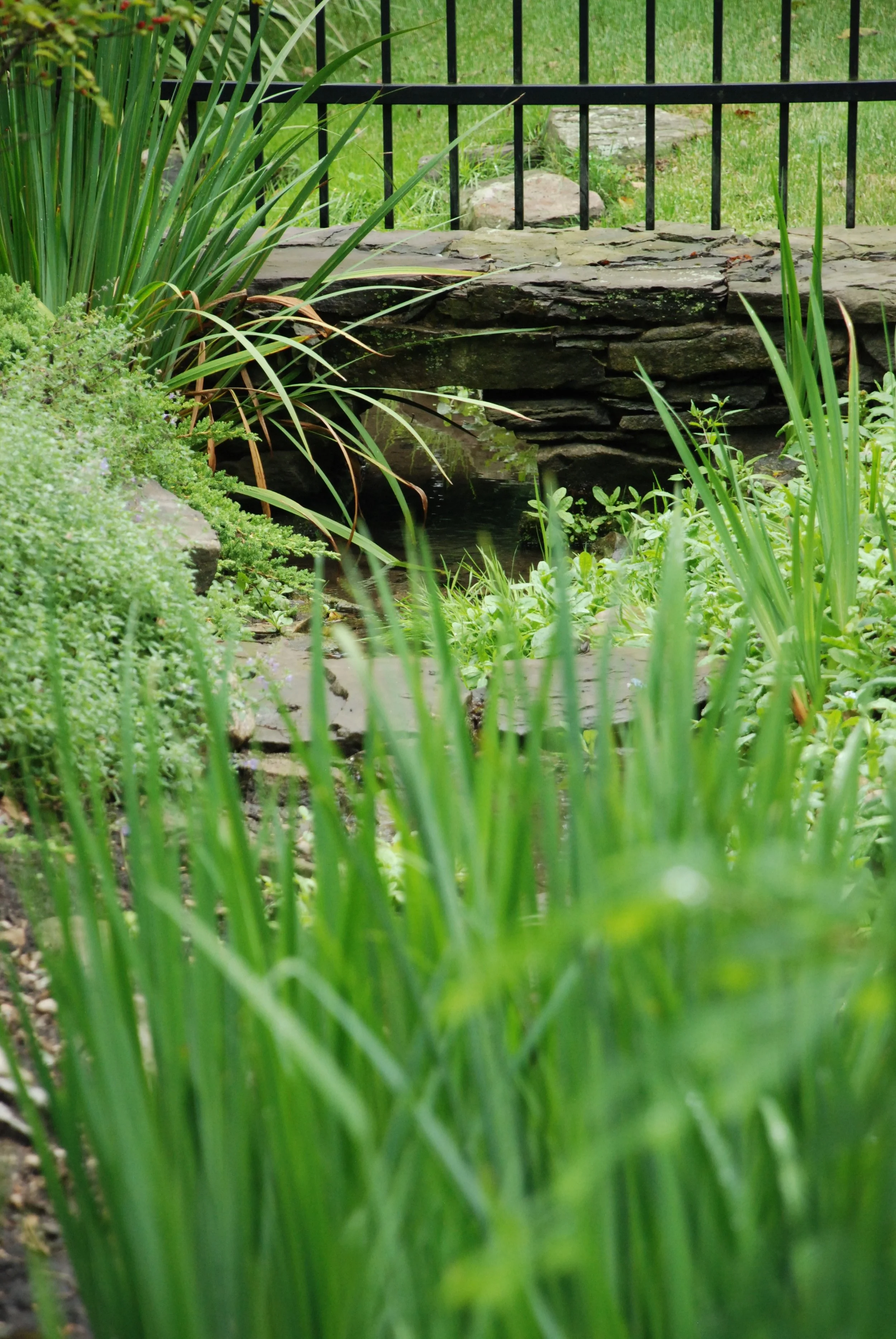 DSC_0838.jpg