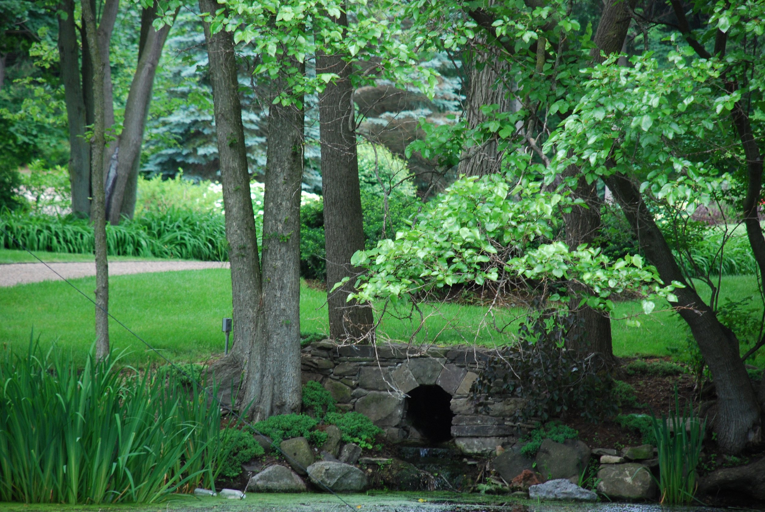DSC_0988.jpg