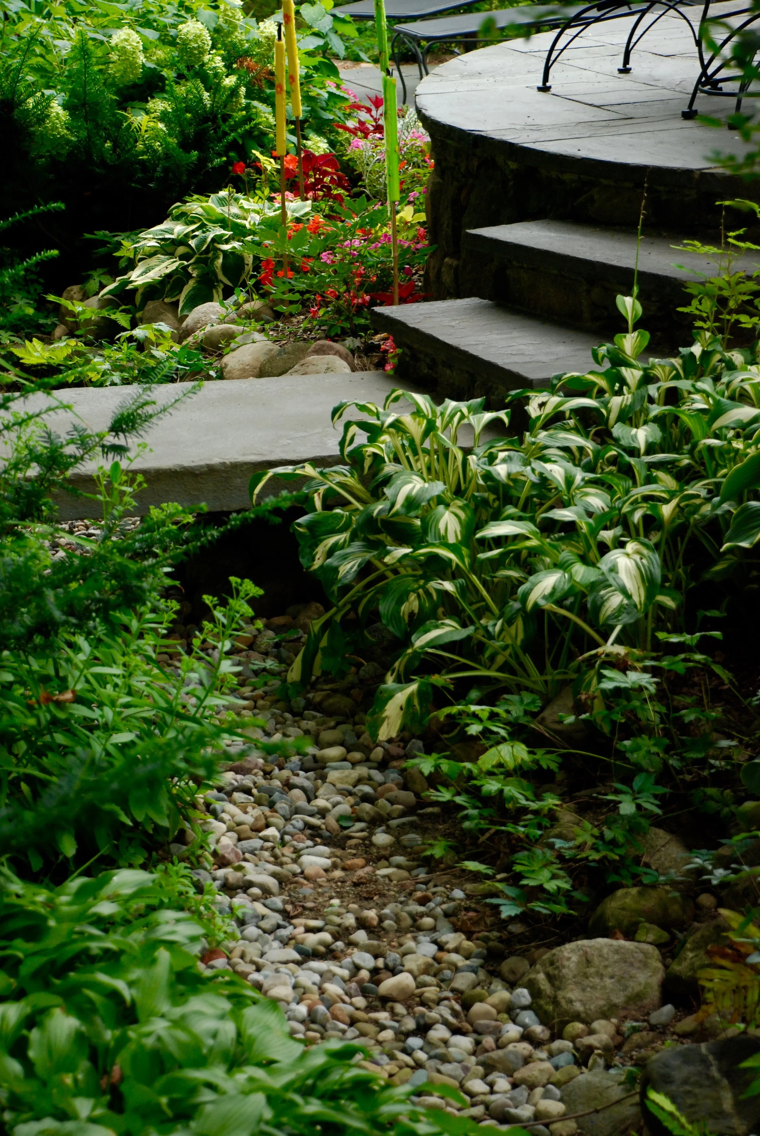 DSC_0955.jpg