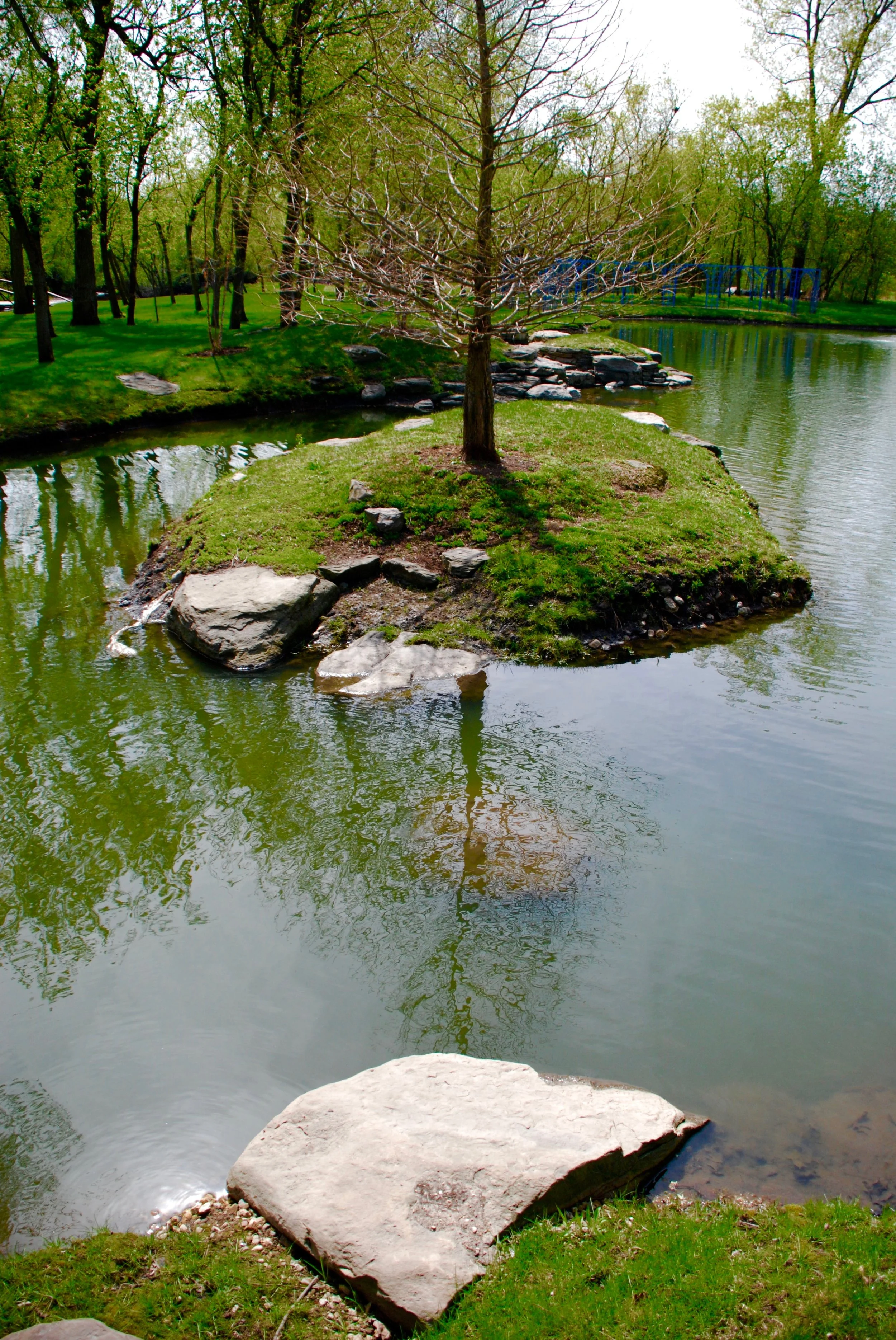 DSC_0507.jpg
