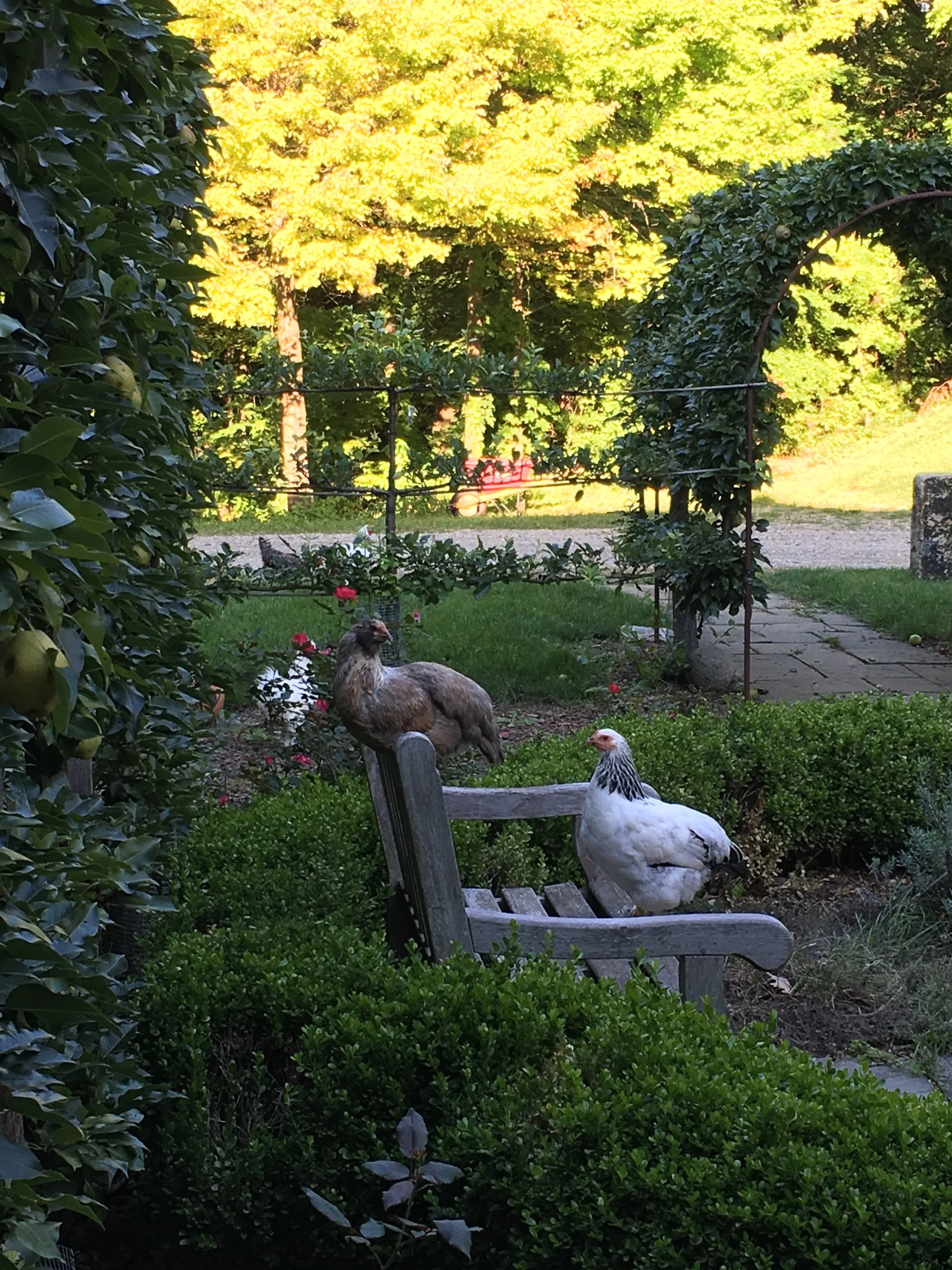 IMG_4511.jpg