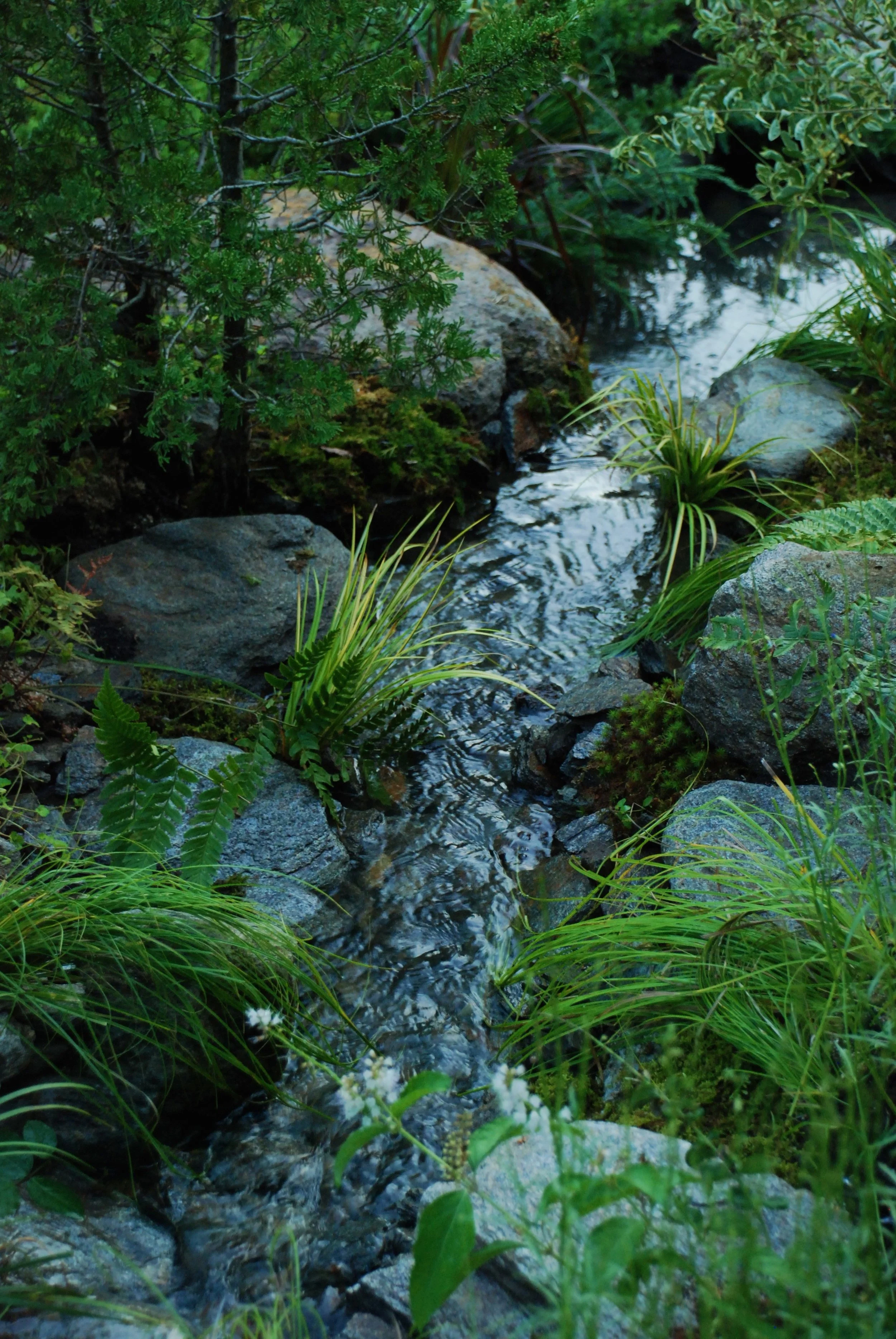 DSC_0835.jpg
