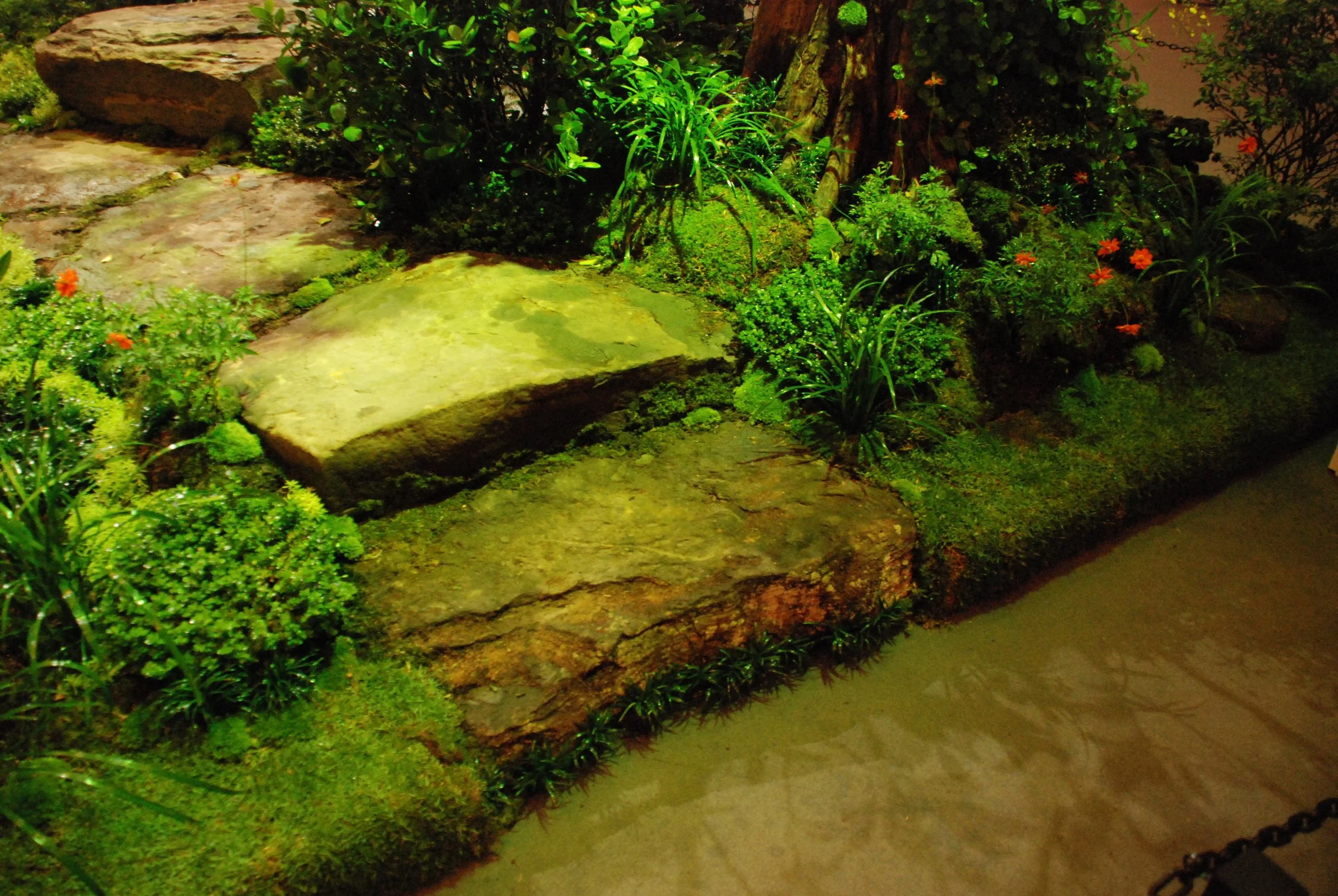 DSC_0452.jpg