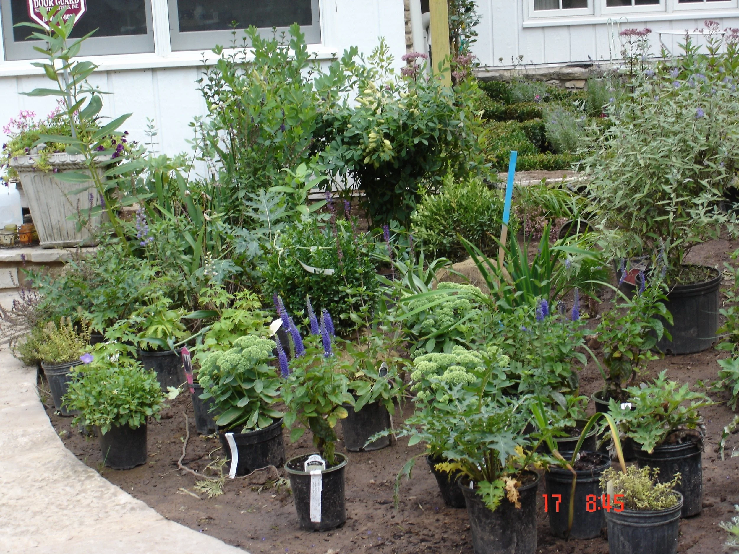 August 2009 Landscaping,Belvidere,DadsBD 121.jpg