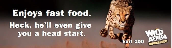 Zoo-Billboard-Cheetah-Cindi-Walther.JPG