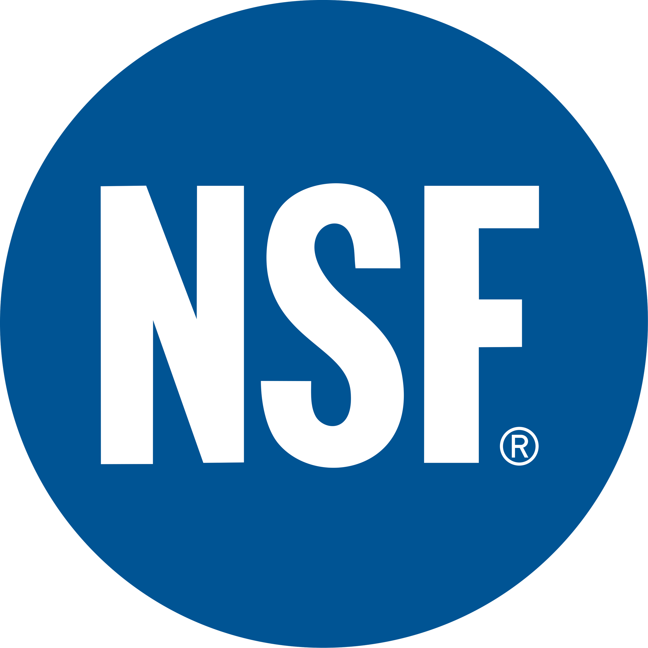 NSF-logo-Walther-Portfolio.png