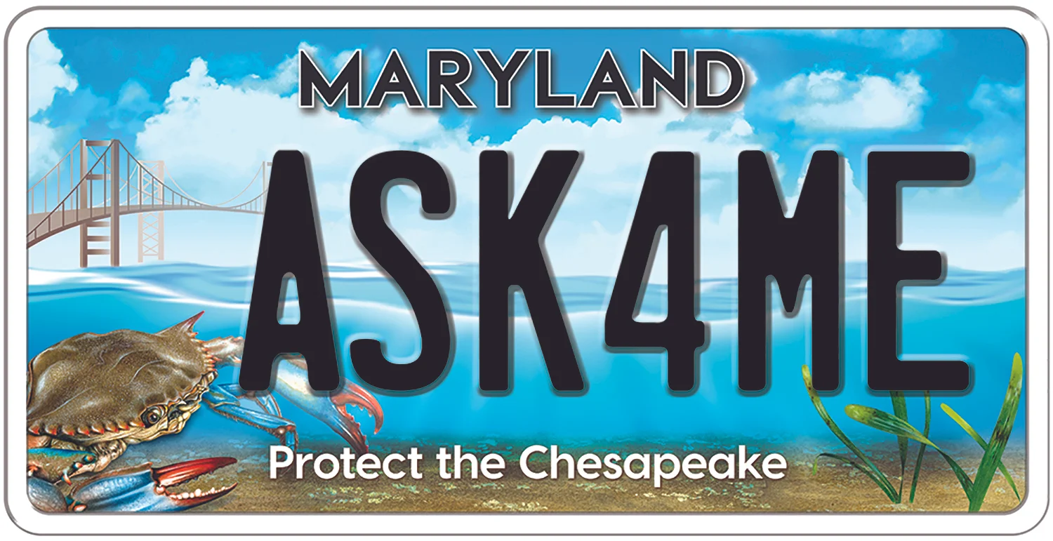 bay plate 2018.jpg