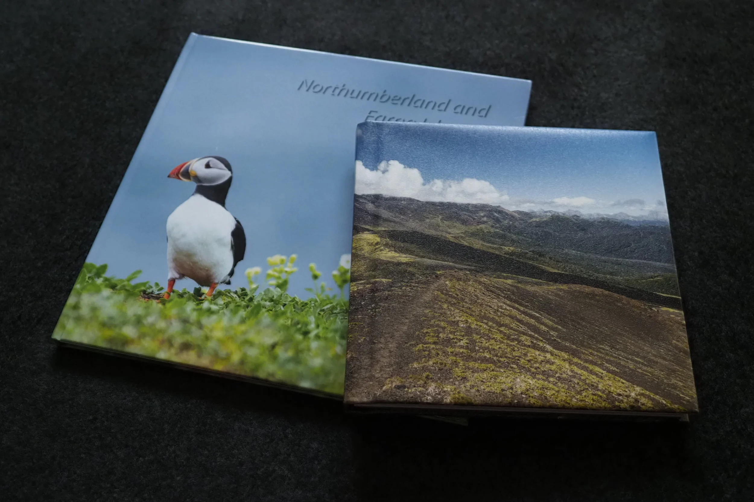 Photo Book review: Saal Digital vs Zno, Layflat book comparison