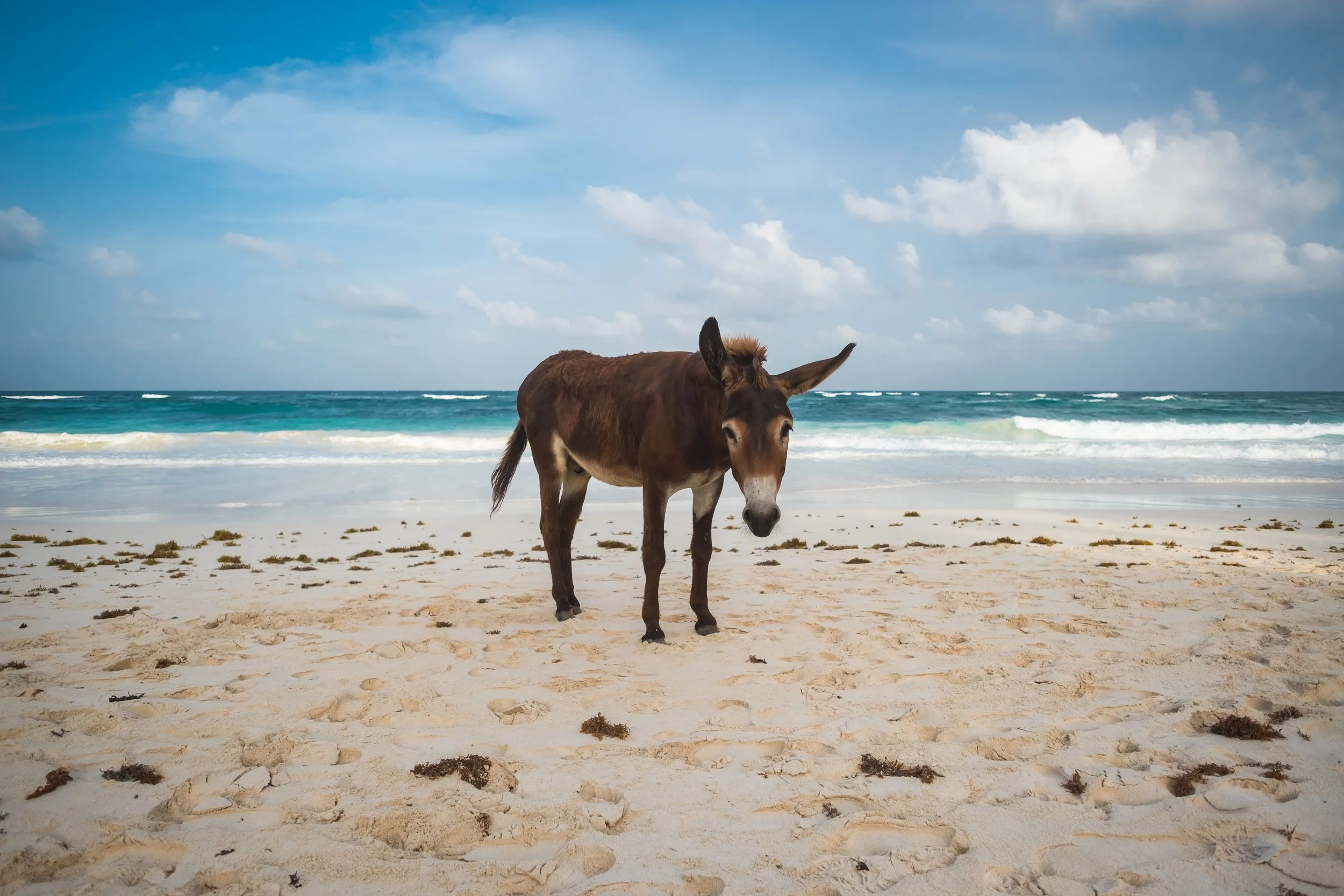 Photo by Spencer Watson on Unsplash
