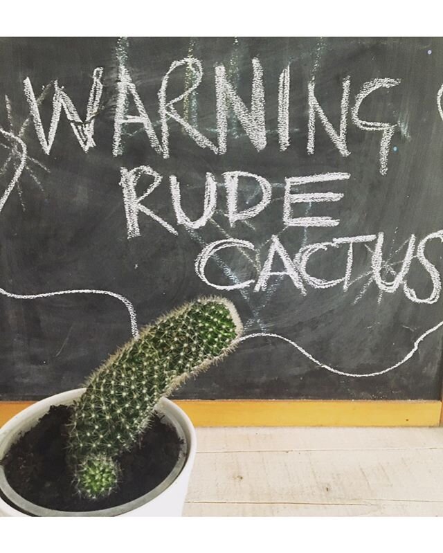 Happy Friday y&rsquo;all Thought this may make you giggle!!! Im constantly growing houseplants but this one is my most unique creation yet!!! 😱#rudecacti #cactusaddict #houseplantaddict #giggles #henleyonthames