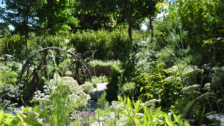 Sustainable gardening – a natural choice - GARDENA