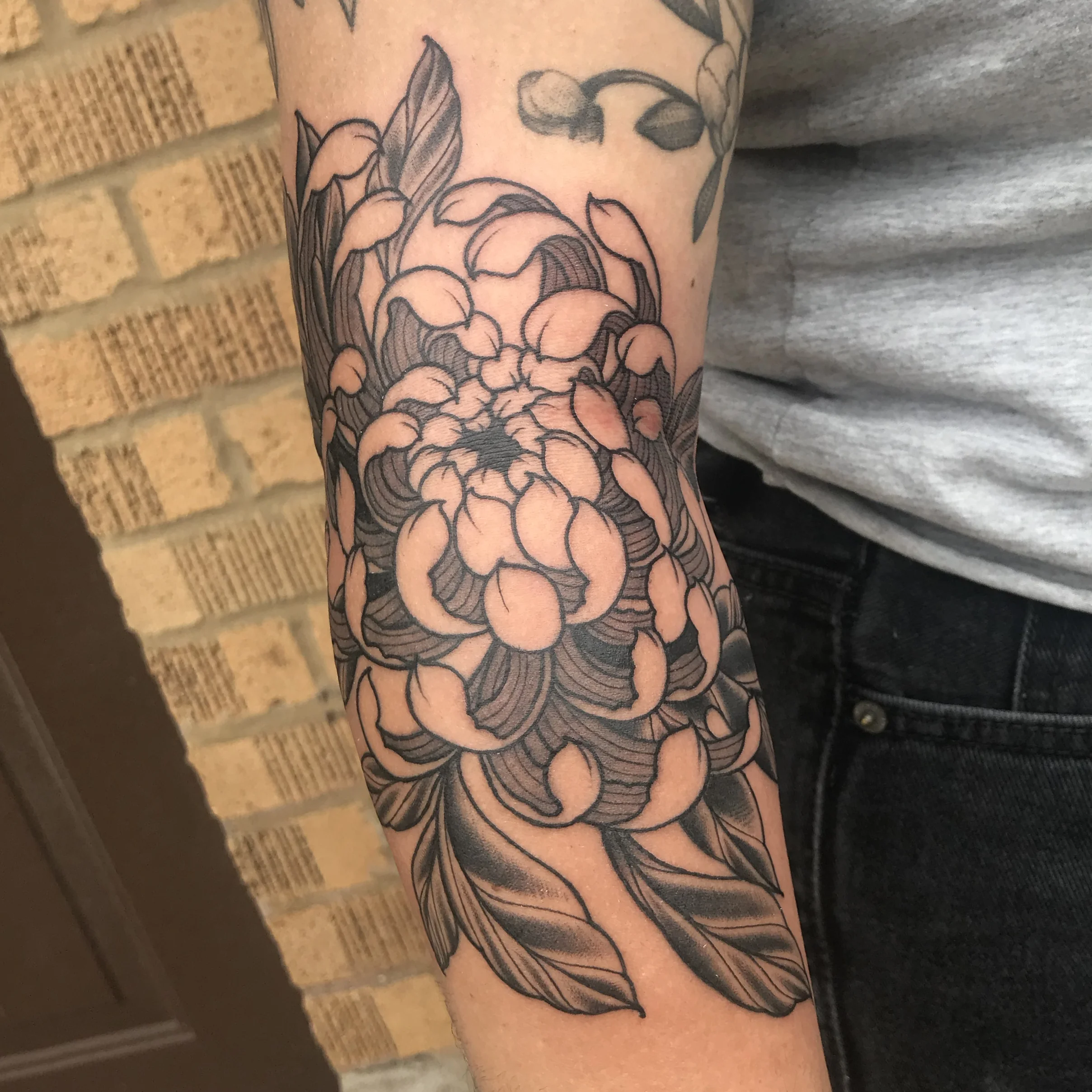 laurenchrysanthemum1.jpg