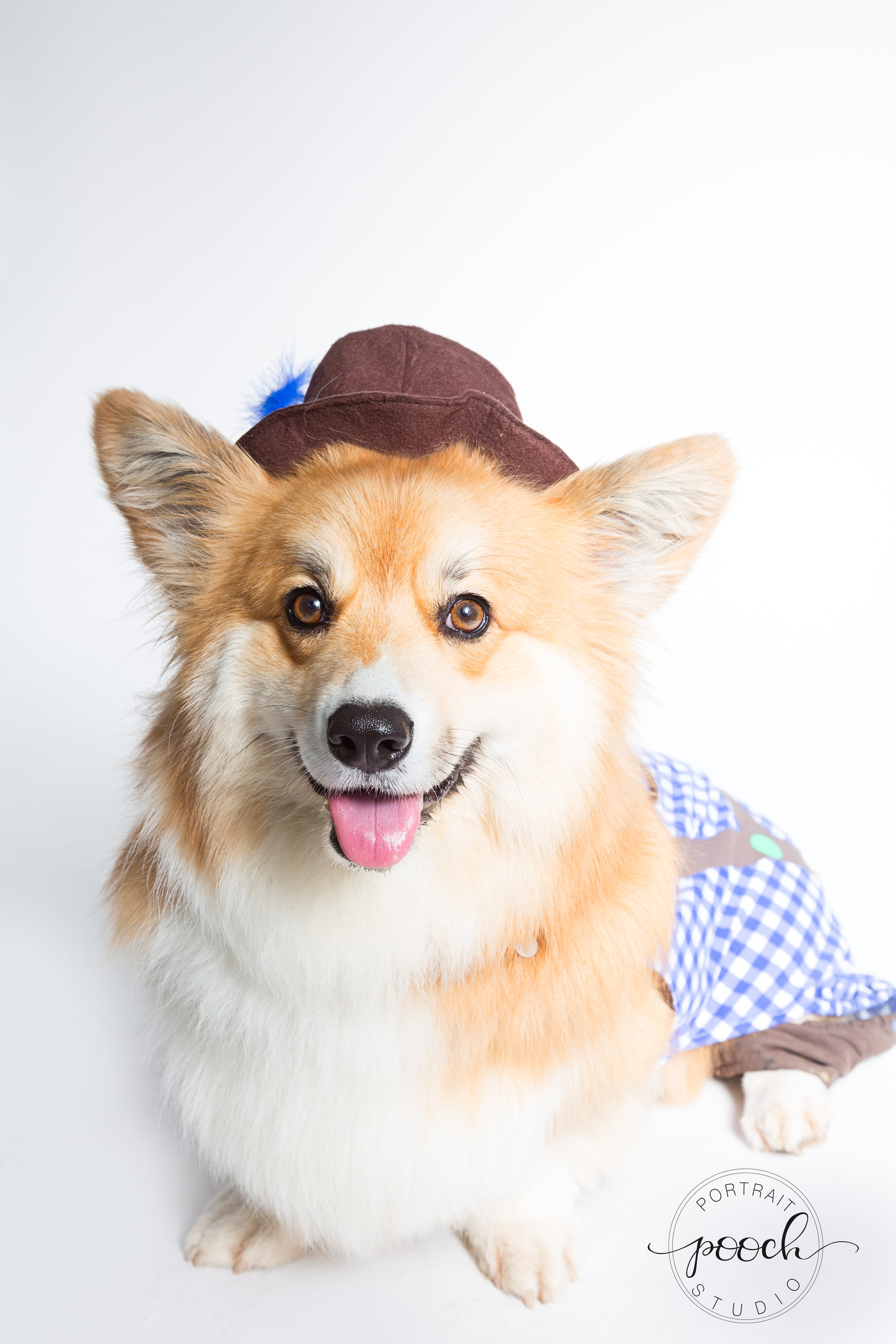 Corgtoberfestfinals-7.jpg