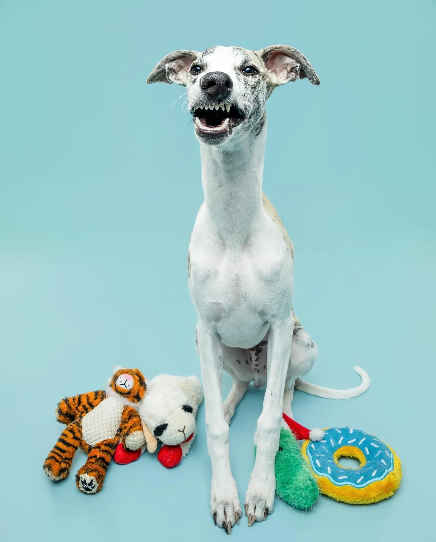 Just a boy, a silly face and his fav stuffies 💕