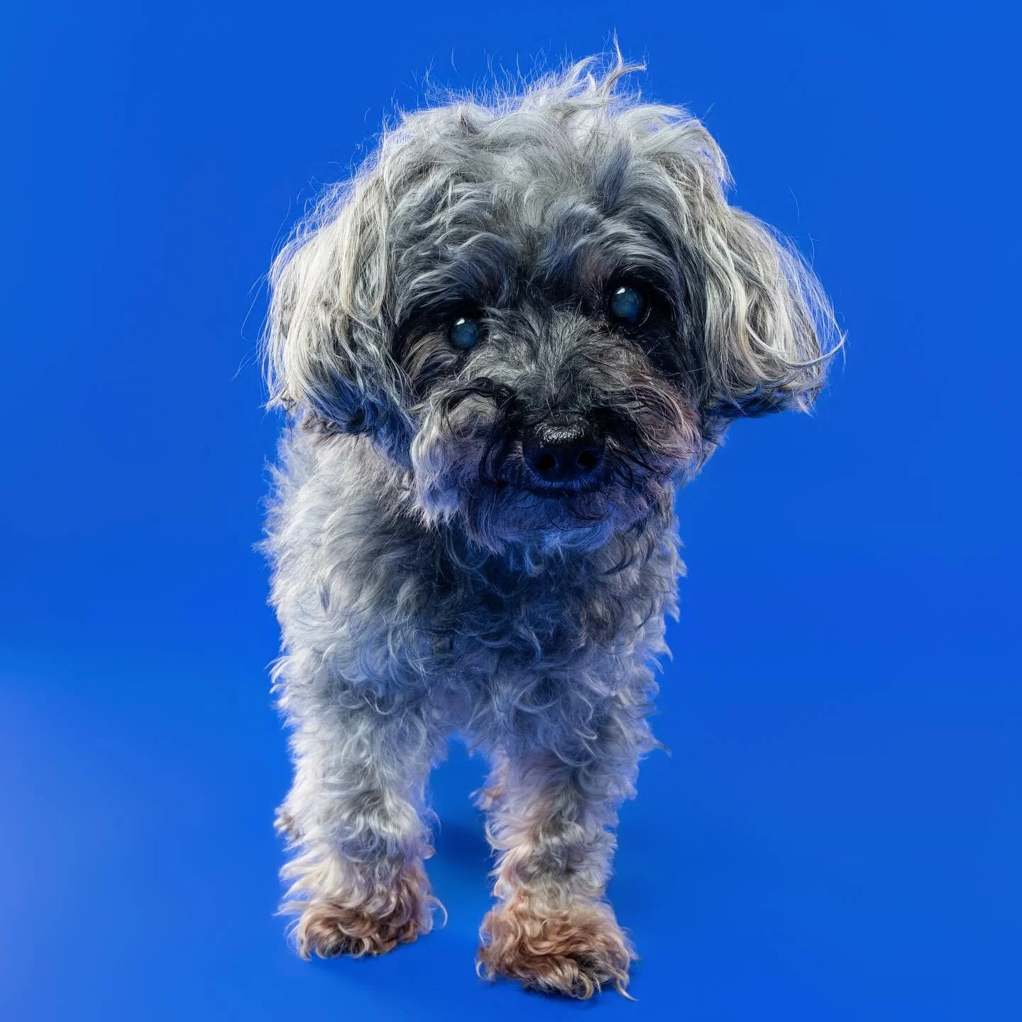 17 never looked so good ✨