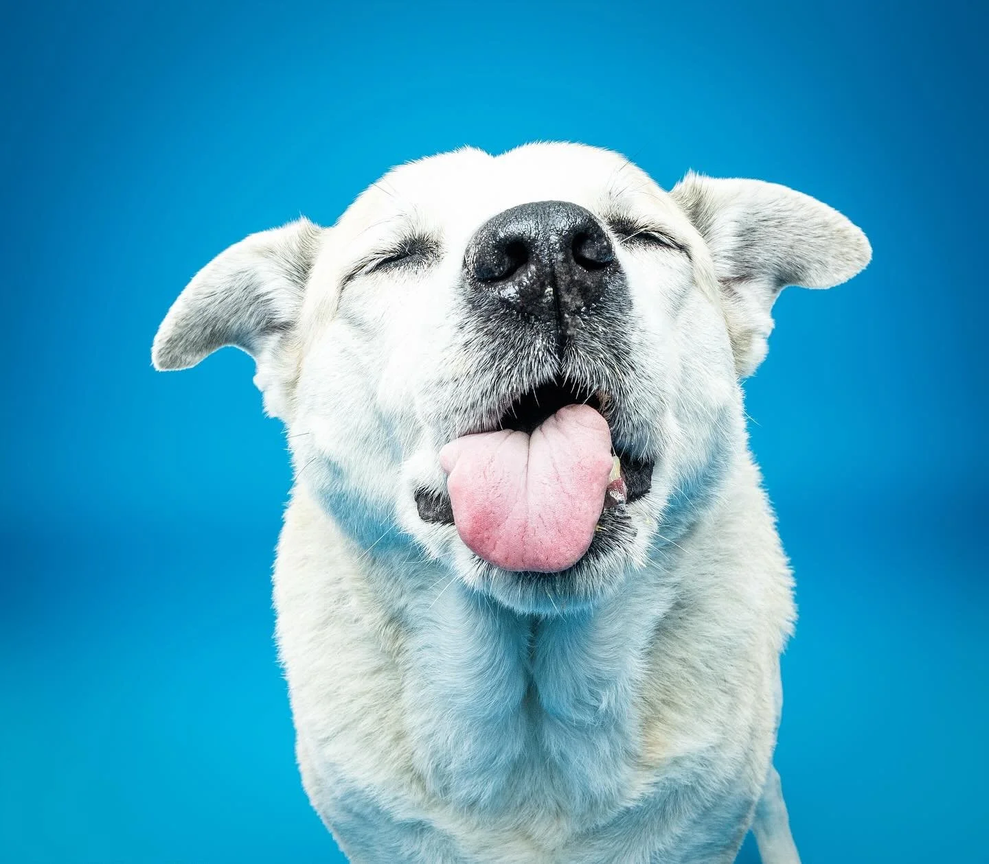 Cali reppin the tongue out Tuesday 👅😝