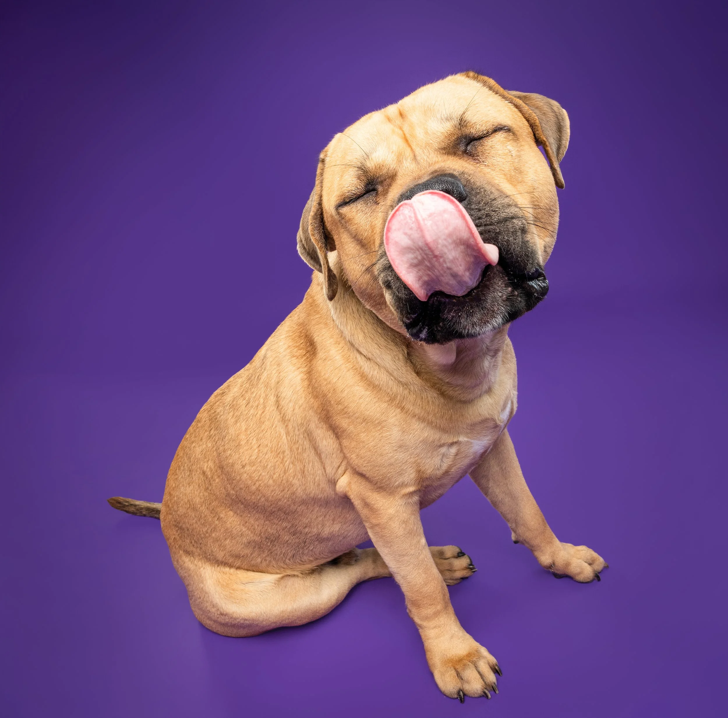 viper-15_(2).jpg