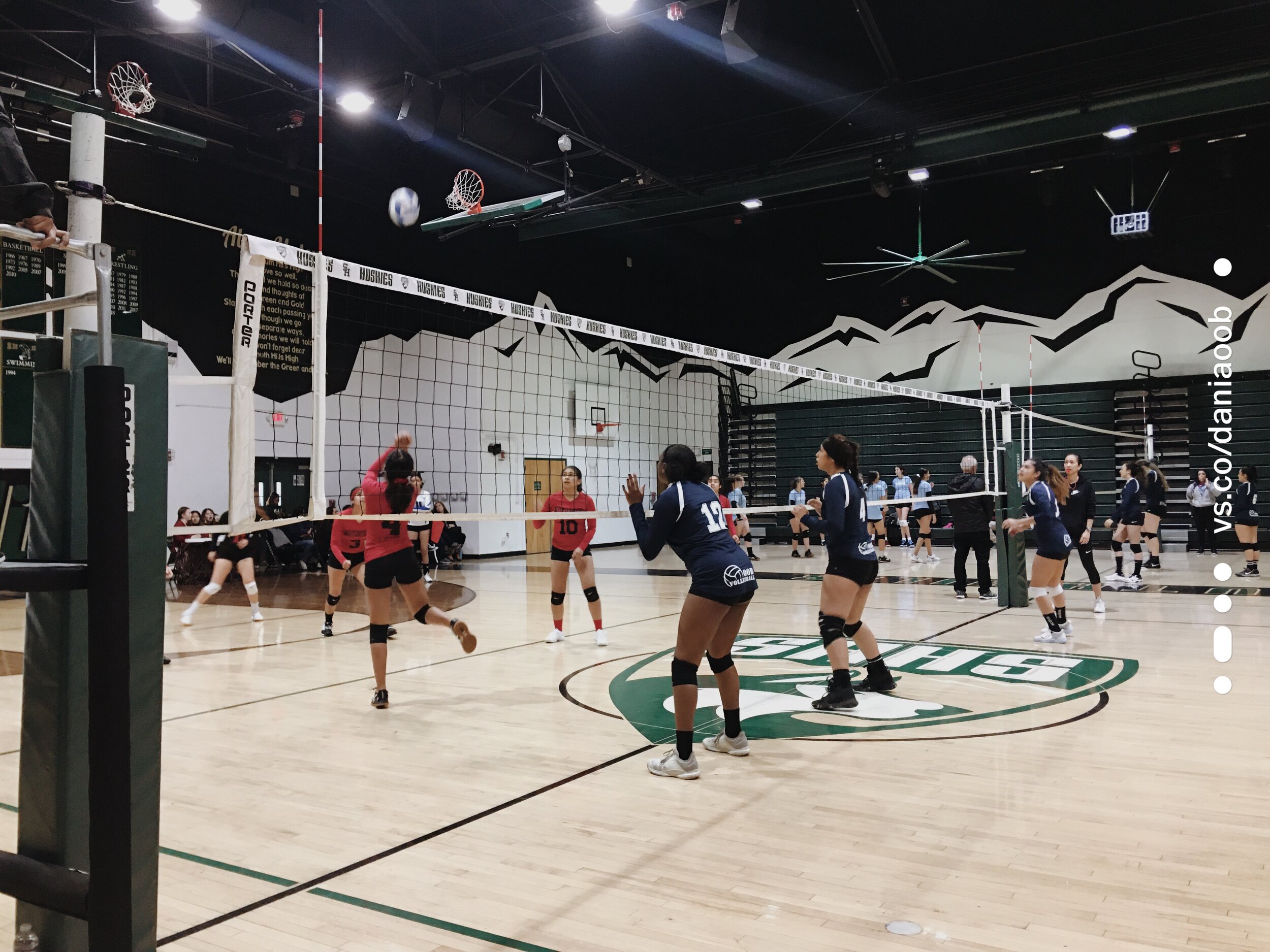 Summer (SAQ) Strength, Agility, and Quickness