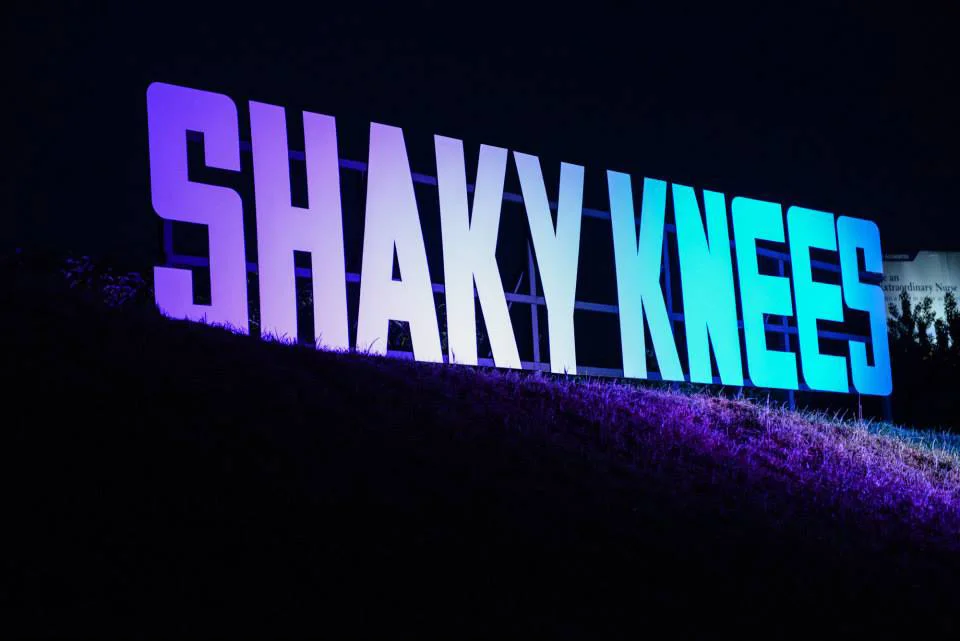 shaky_detalgal_2-52eae9b9.jpg