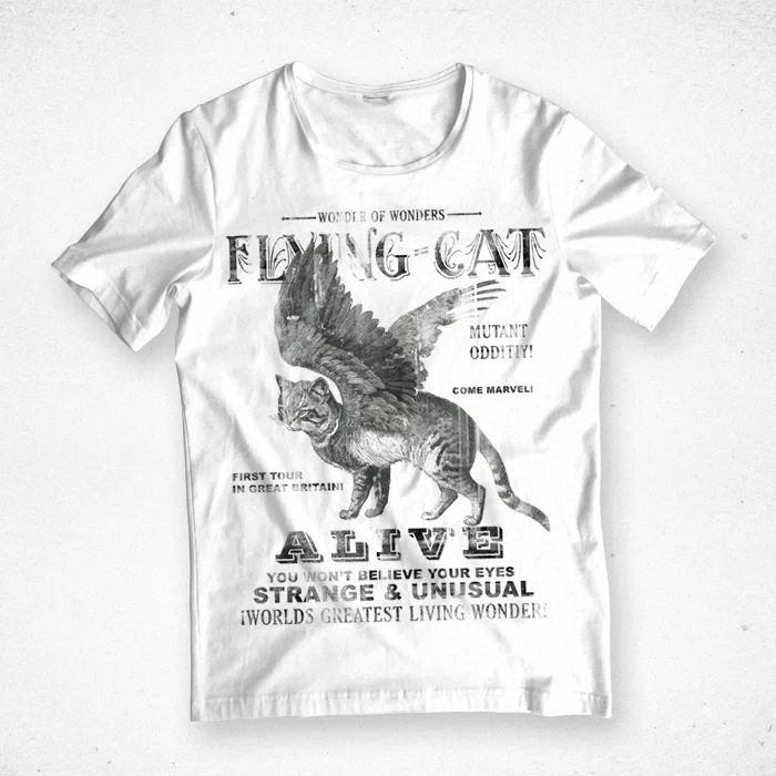 saint_kidd_flying_cat-72e5fff6.jpg
