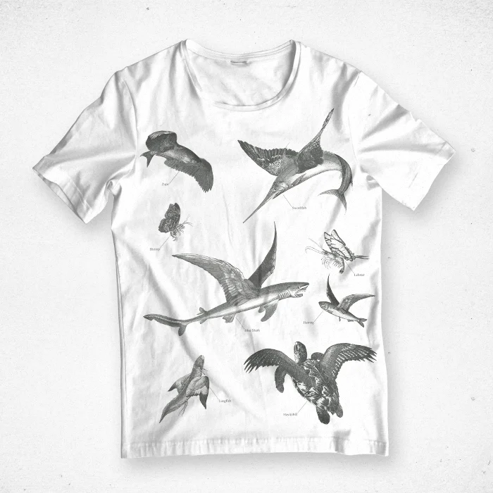 saint_kidd_flying_seas-ddb0fac8.jpg