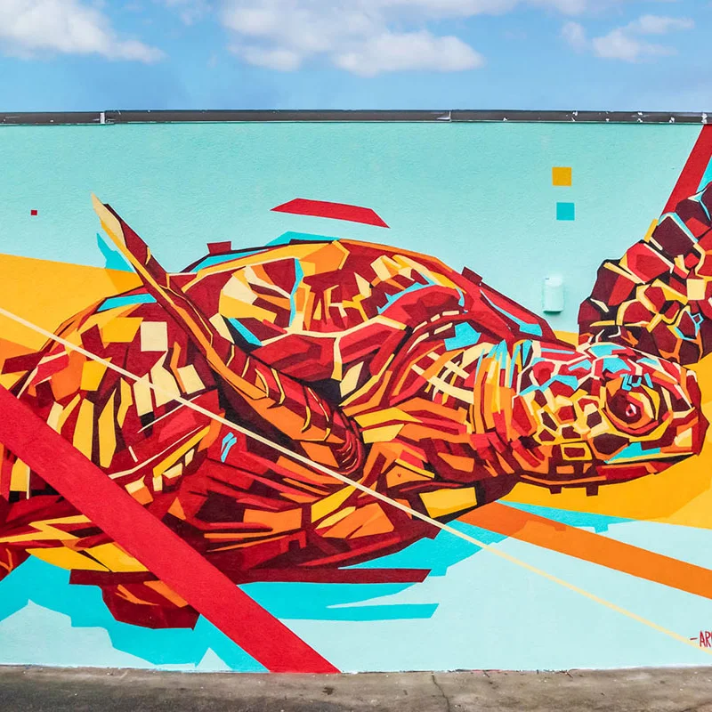 ARLIN • BRAZIL