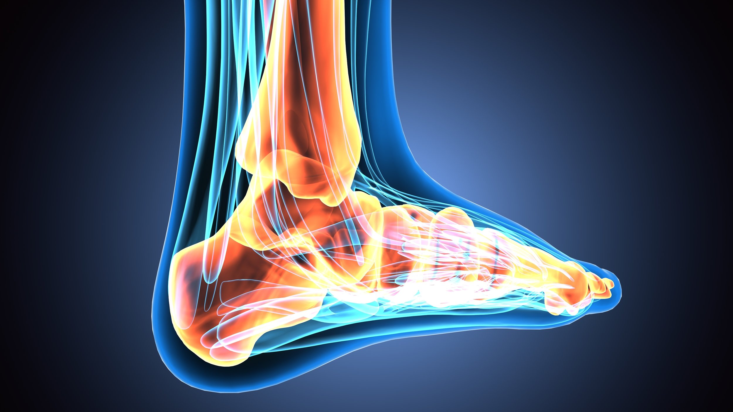 foot&anklesurgeon.jpeg